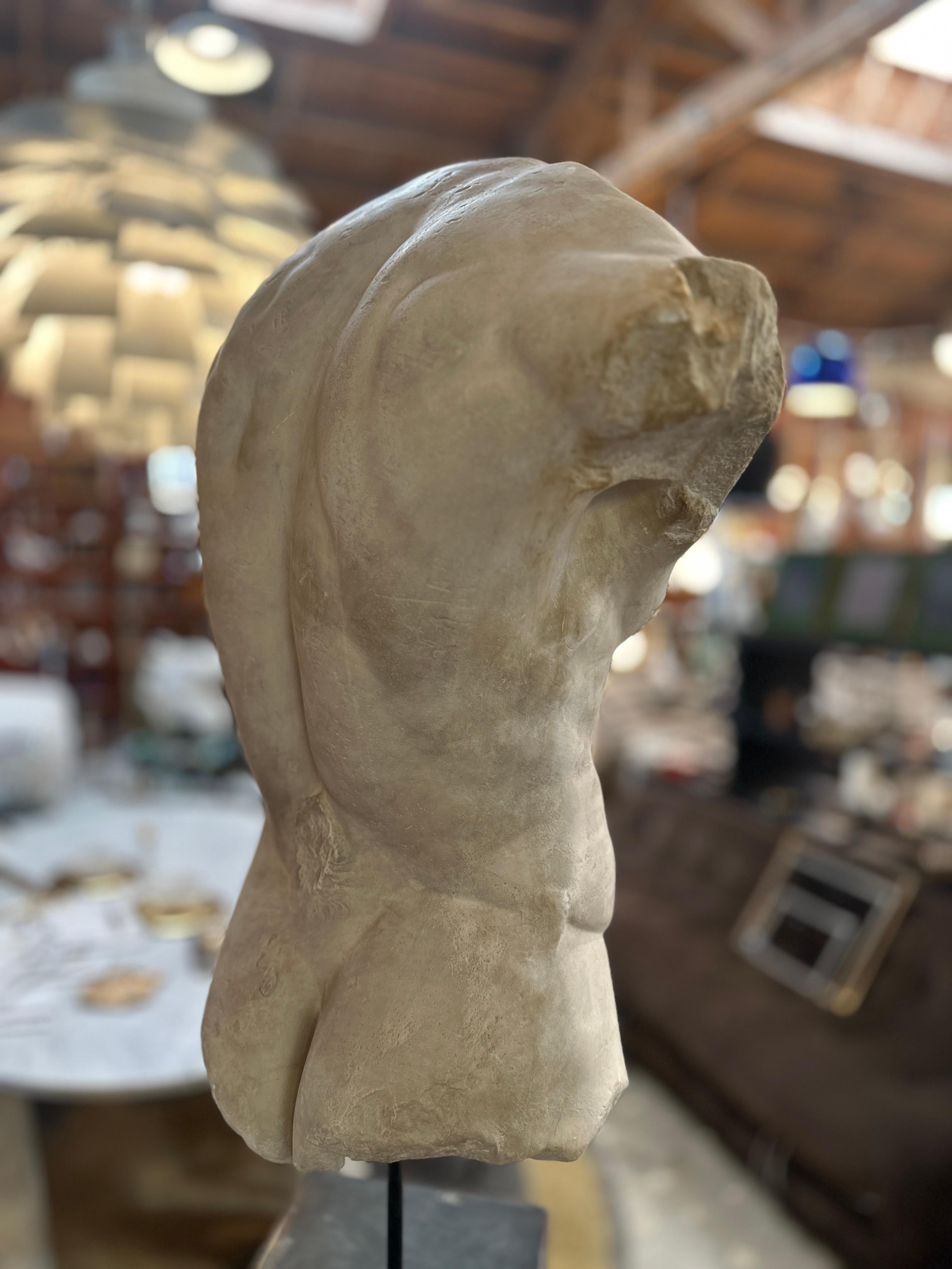 Torso di Gaddi, busto in gesso, copia in scala 1/1 In condizioni buone in vendita a Los Angeles, CA