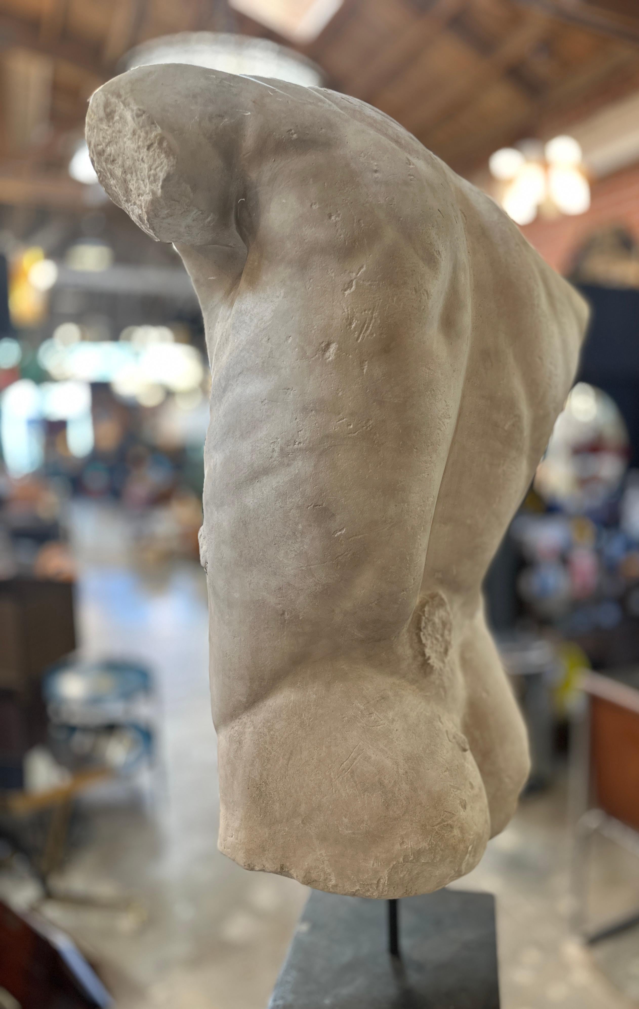 Fine XX secolo Torso di Gaddi, busto in gesso, copia in scala 1/1 in vendita