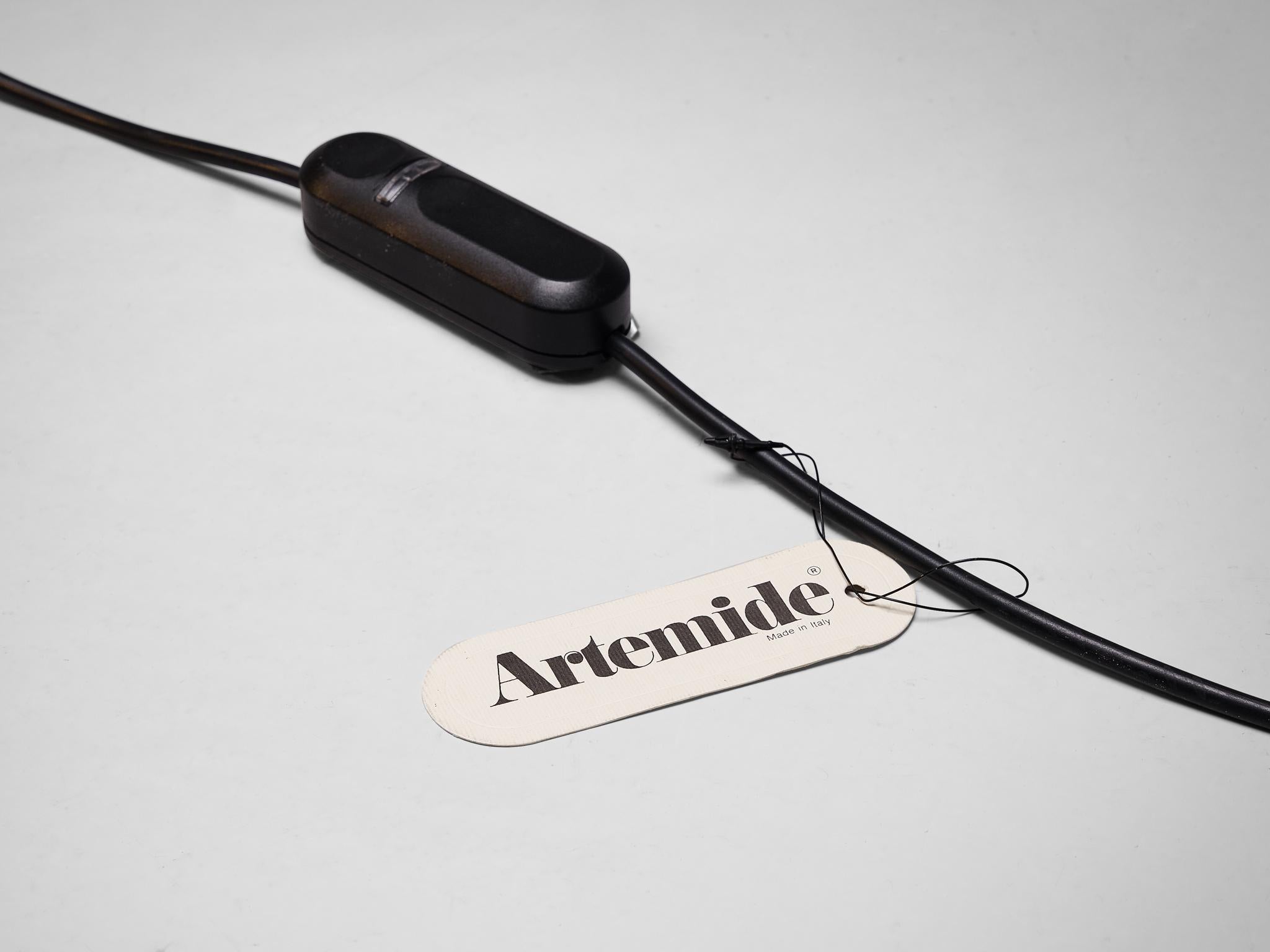 Gae Aulenti for Artemide 'Patroclo' in Steel and Hand Blown Glass 5