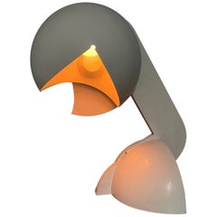 Gae Aulenti 'La Ruspa' Table Lamp