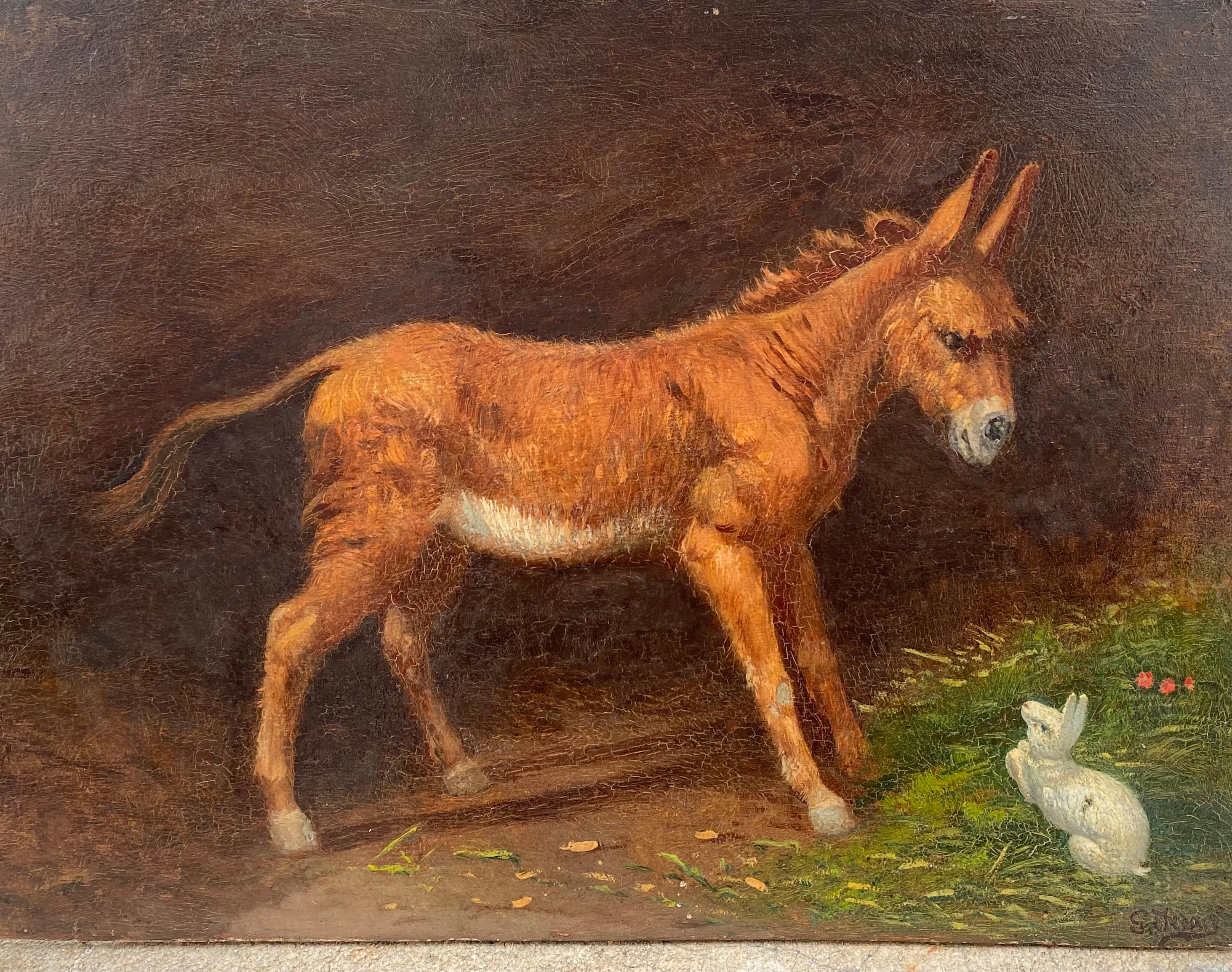 gaetano mule