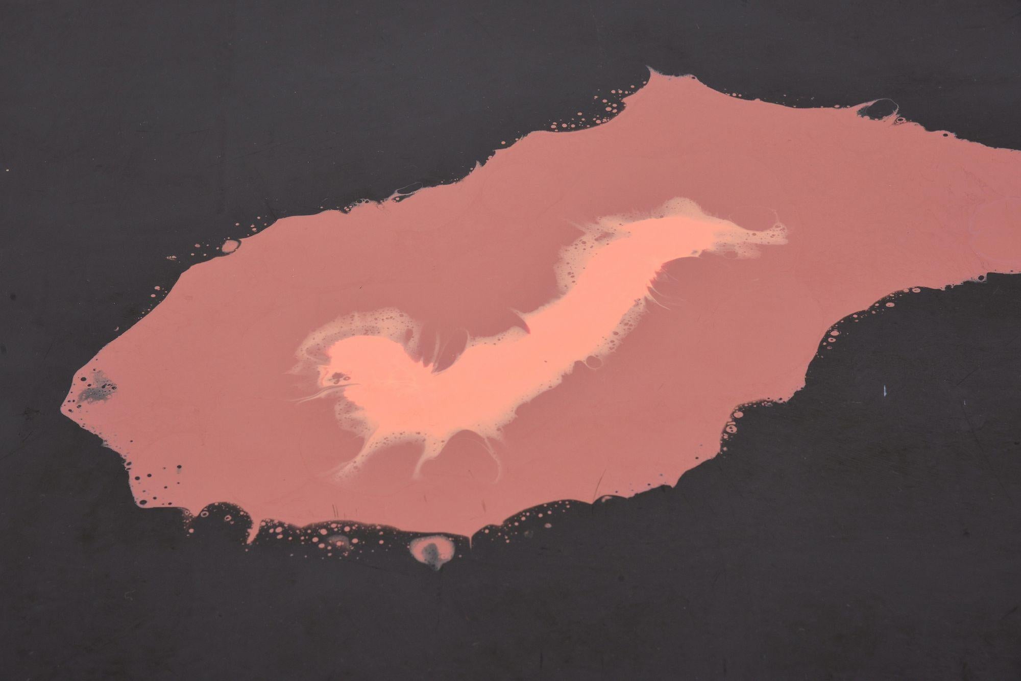 Rara tovaglia / opera d'arte di Gaetano Pesce NOBODY'S, 81 