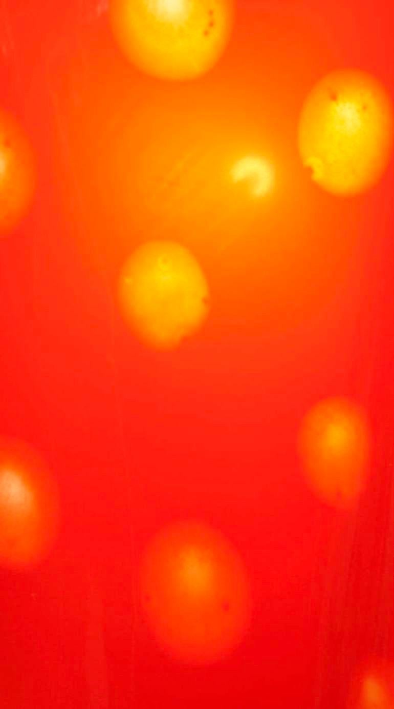 Gaetano Pesce Rag Wall Lamp for Fish Design In Good Condition In Chicago, IL