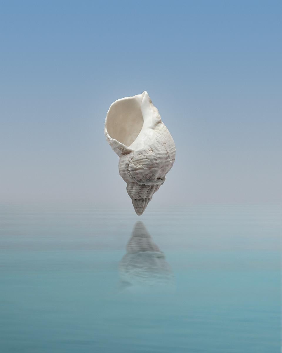 Still-Life Print di Gaia Barnatan - Sale I+I