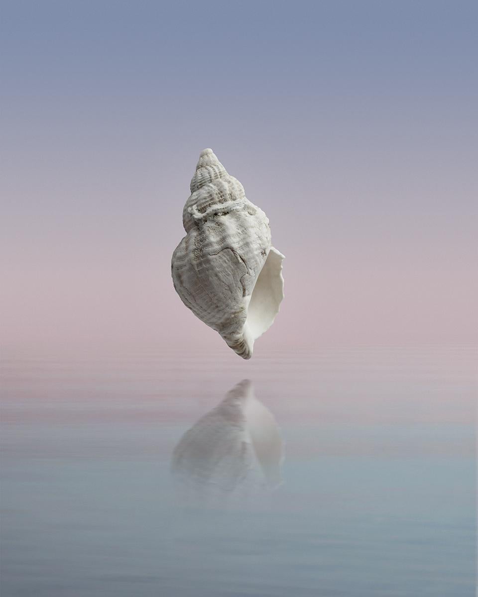 Still-Life Print di Gaia Barnatan - Sale II
