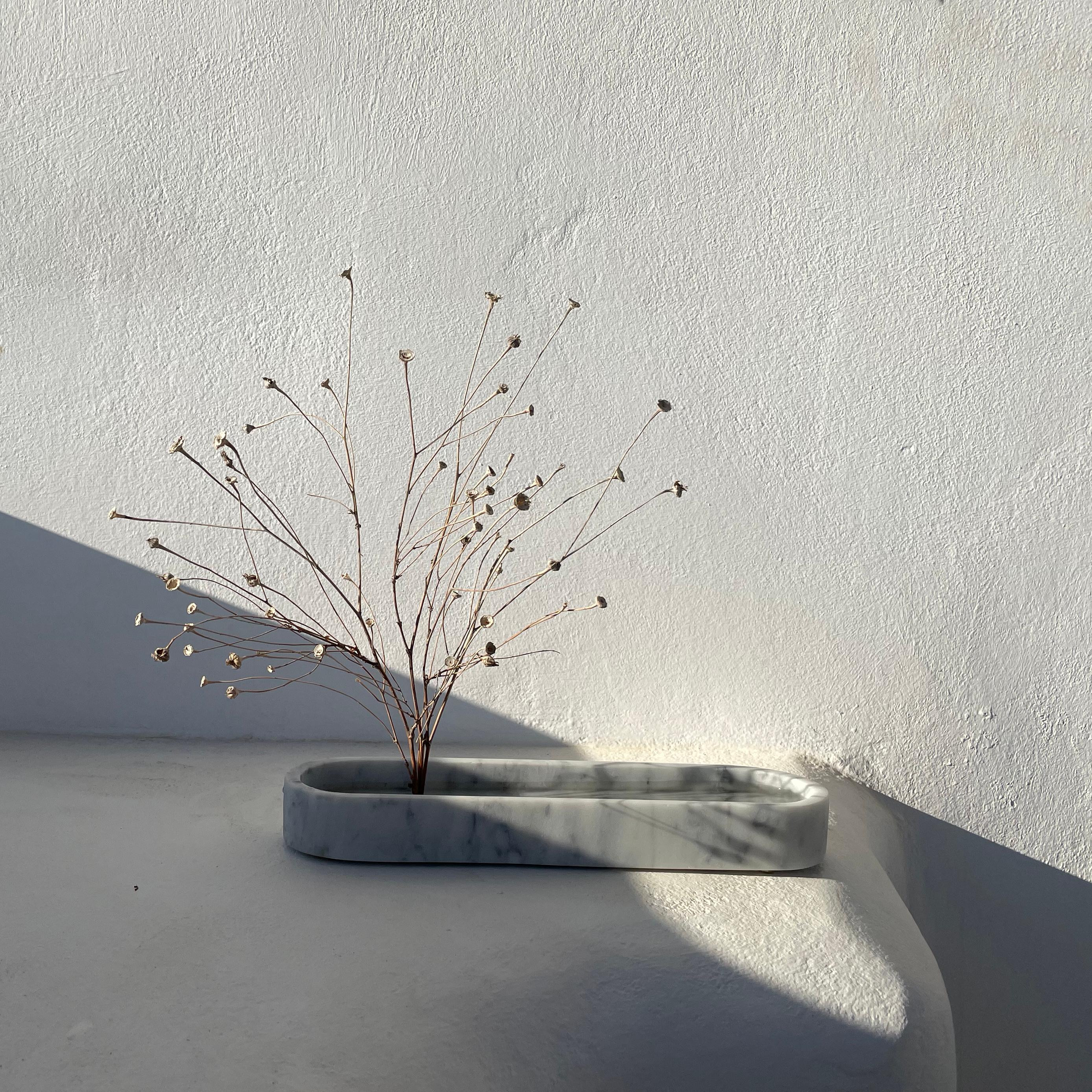 Contemporary Gaia Vase by Arturo Erbsman