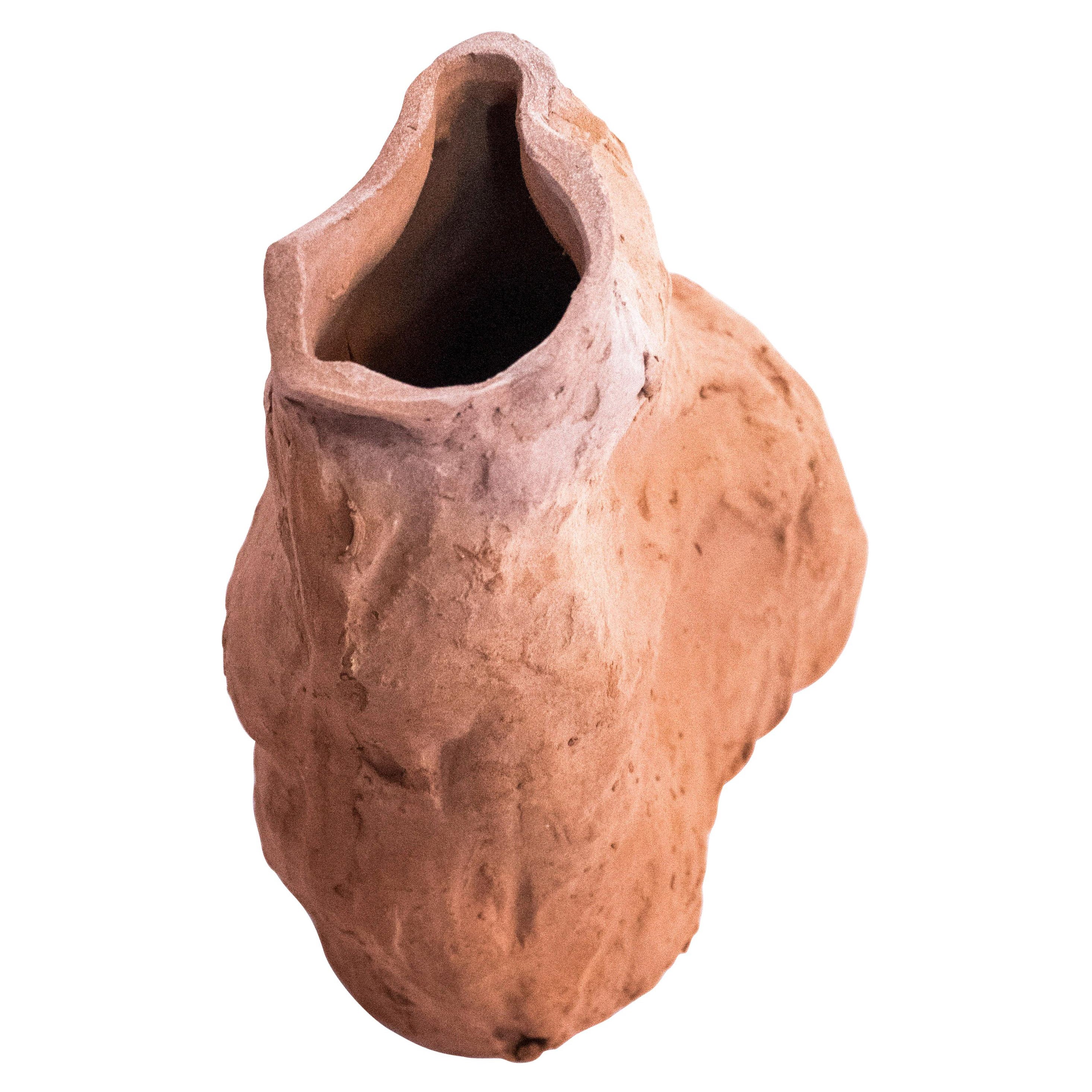 Gaïamorphism, Unique Organic Vase, Aurore