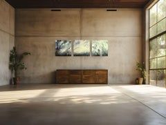 My Winter is Your Spring - triptych