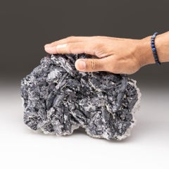 Galena dalla miniera di Krushev Dol, distretto di Madan, Monti Rodopi, Bulgaria