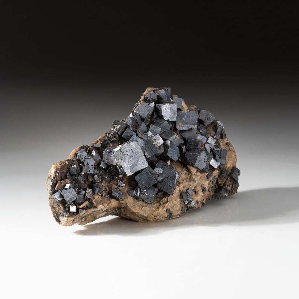 American Galena with Quartz and Pyrite From Joplin, Missouri, USA For Sale