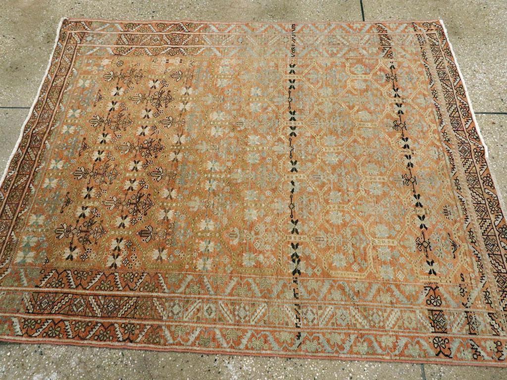 Colección Galerie Shabab Alfombra Persa Afshar de mediados del siglo XX Anudado a mano en venta