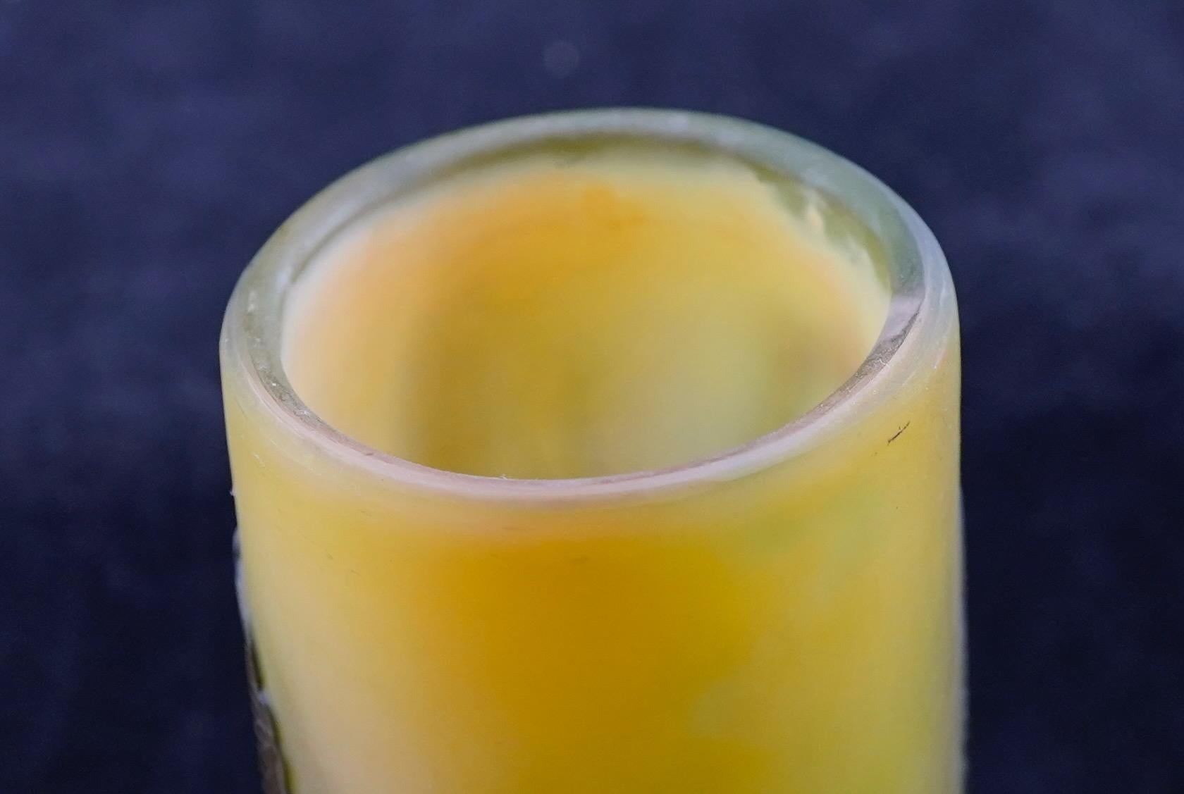 Vaso Galle Cameo in vetro con baccelli in fiore In condizioni ottime in vendita a Sarasota, FL