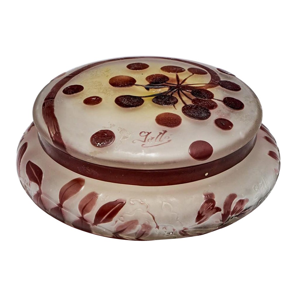 Galle Cameo Glass Box and Cover, c1922 For Sale