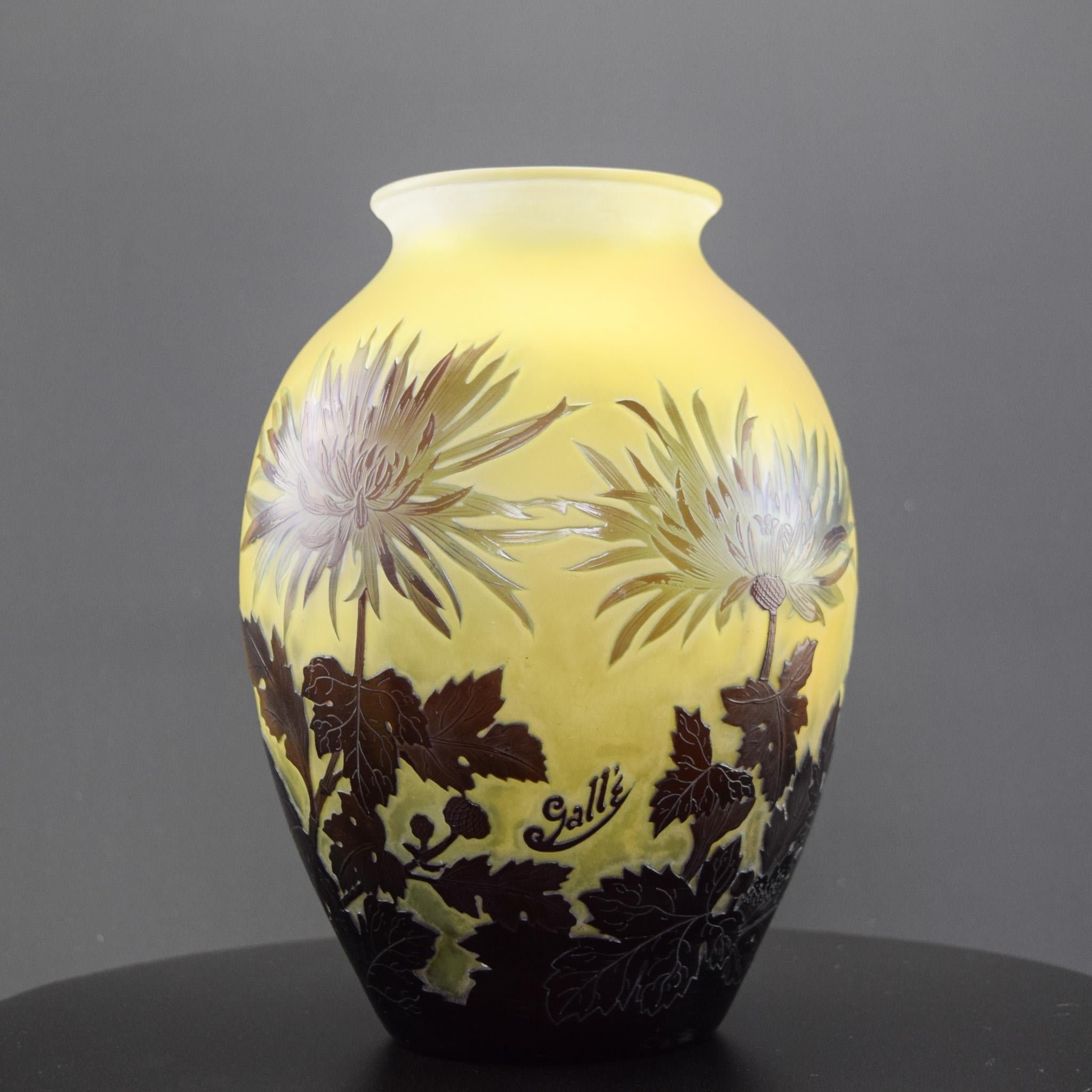 Vase à chrysanthèmes en verre camée de Galle
Un très beau vase de forme bulbeuse présentant quatre têtes de chrysanthèmes en pleine floraison ainsi que des feuilles et des bourgeons. La méthode de la vitre a été utilisée pour faire ressortir la