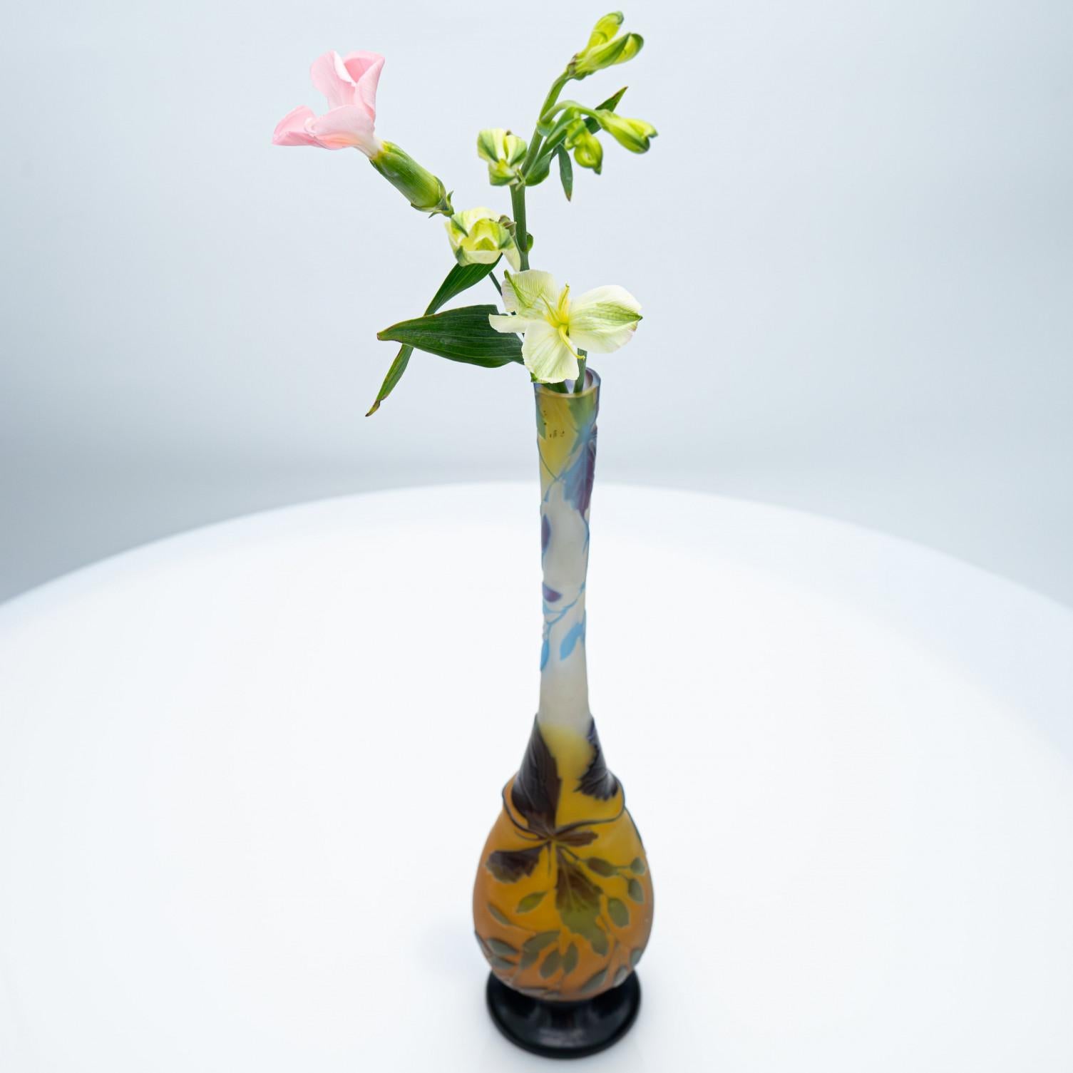 Gallé Unterzeichnet,  Mehrfarbige Vase mit säuregeätztem Überzug, Frankreich, 1905 (Frühes 20. Jahrhundert) im Angebot
