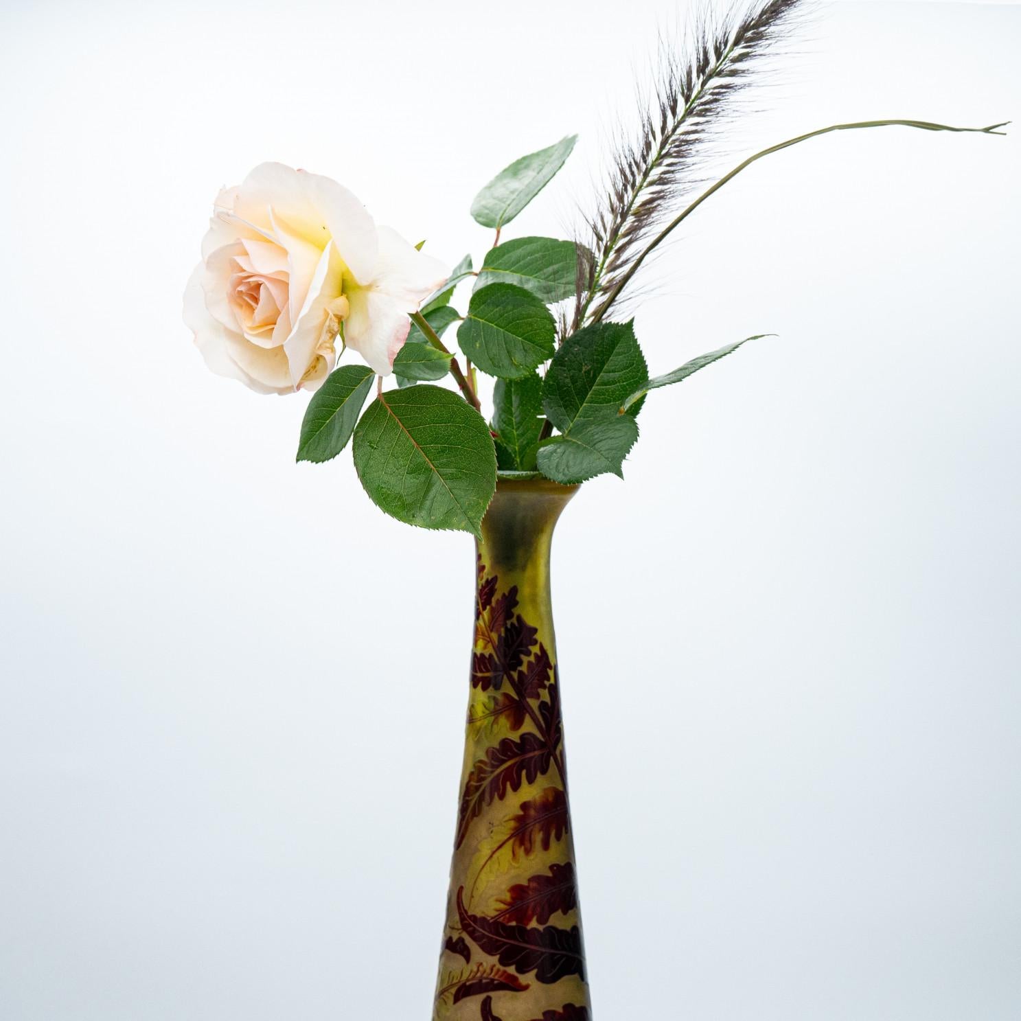 Other Gallé Signed, Large Acid Etched Overlay Vase, France, 1905 For Sale