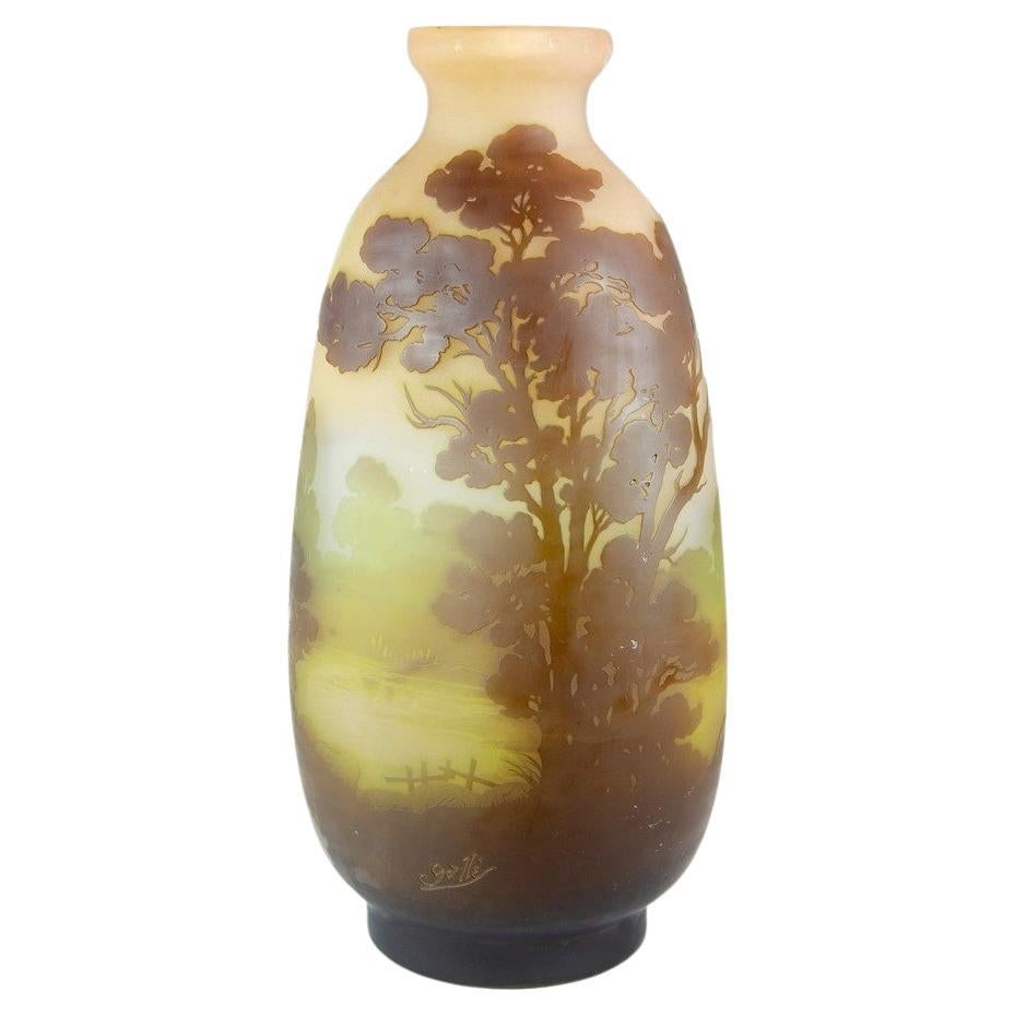Gallé vase with aquatic landscape For Sale
