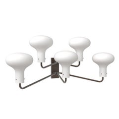 Galleria Five Light by Ignazio Gardella for Tato