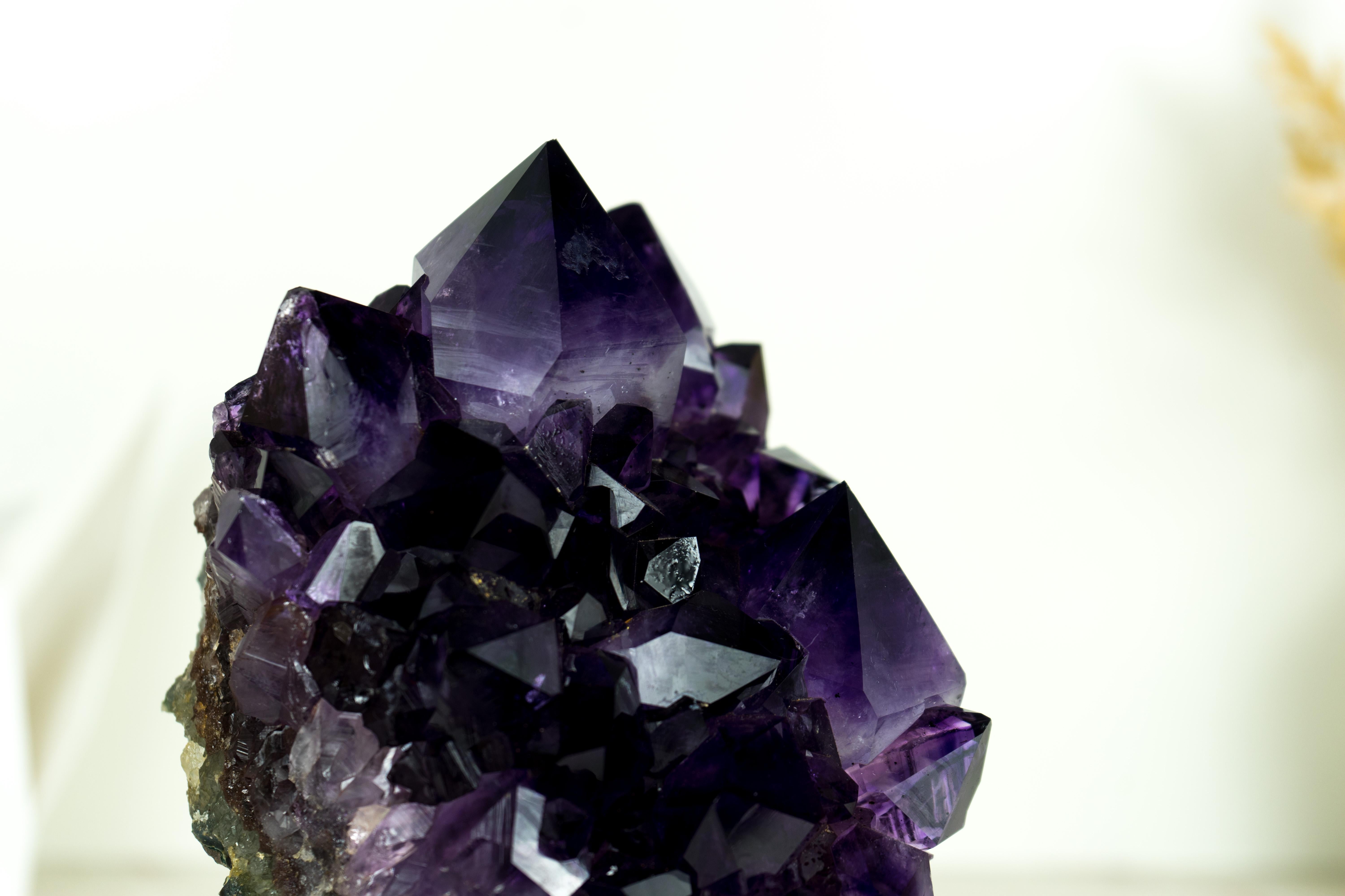 Gallery Amethyst Cluster with Aesthetic Large Grape Jelly Amethyst Points In New Condition For Sale In Ametista Do Sul, BR