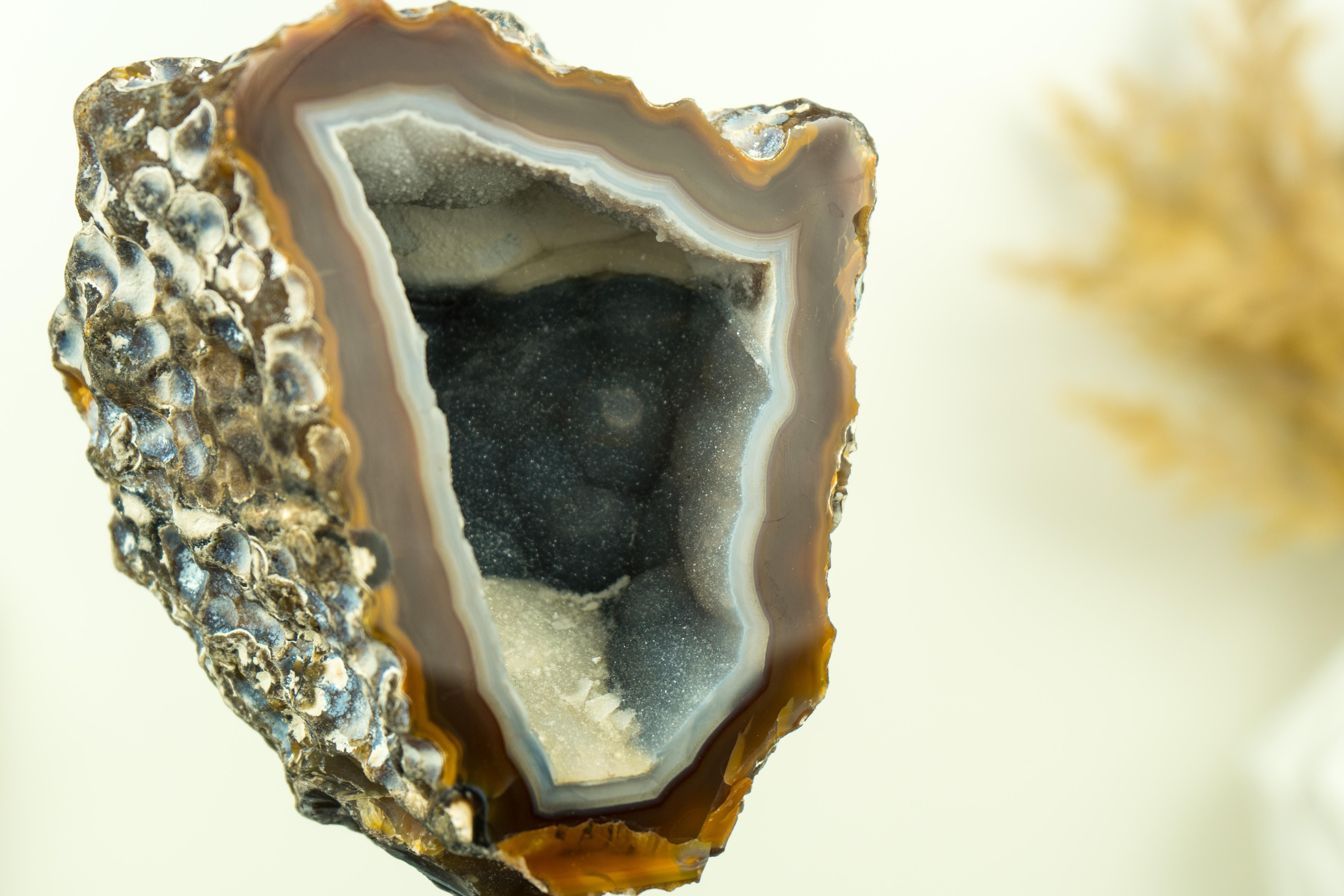Amethyst Gallery Grade Amber and White Lace Agate Geode with Blue Galaxy Druzy For Sale