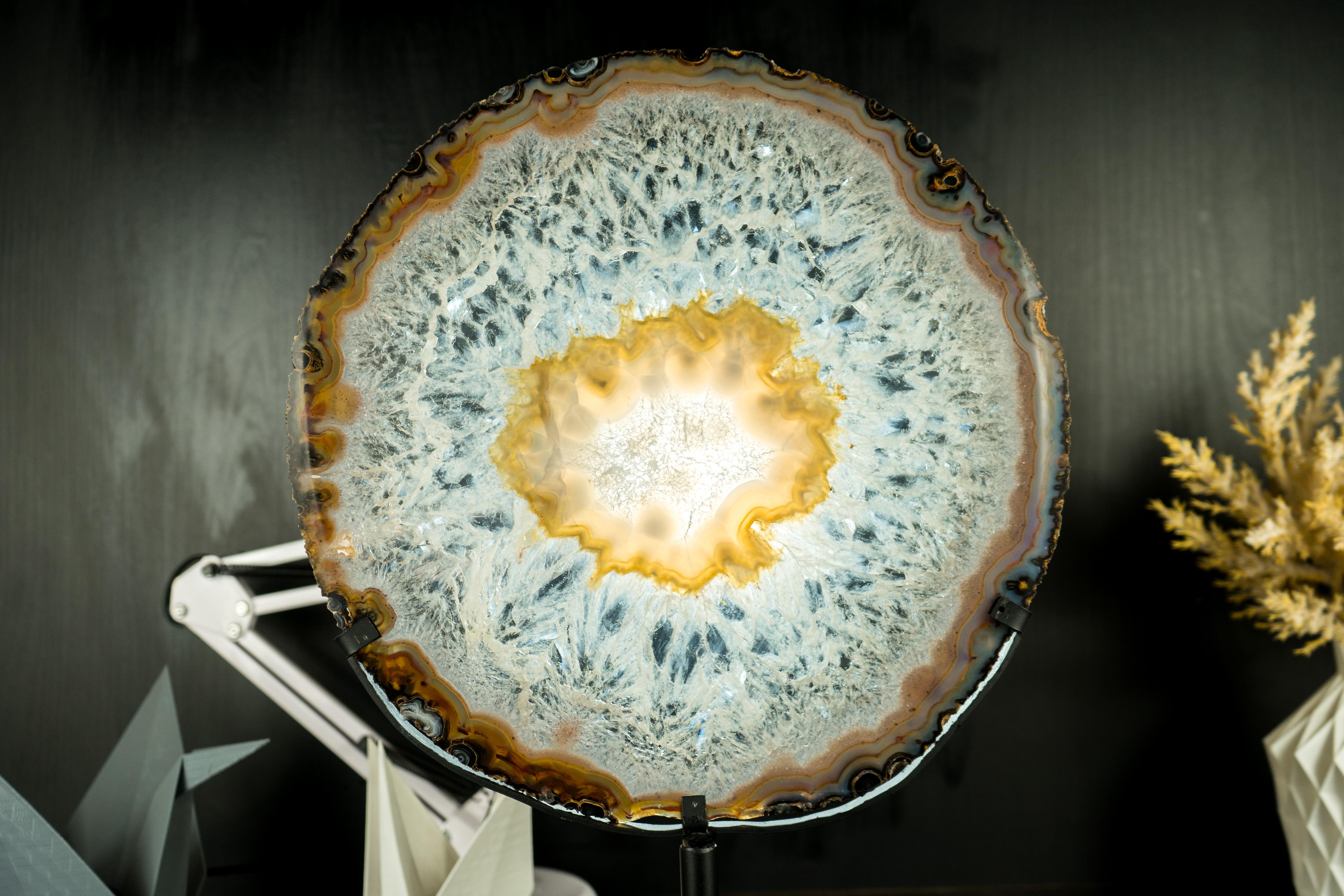 Gallery Grade Large Lace Agate Slice, with Ice-Like Crystal and Colorful Agate 6