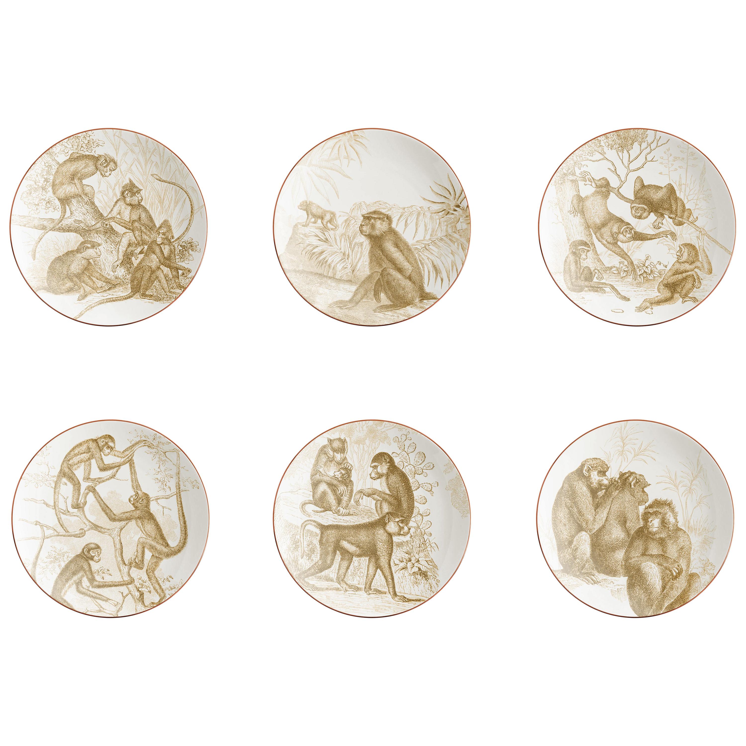 Galtaji, Six Contemporary Porcelain Bread Plates with Decorative Design For Sale