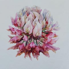 Clover