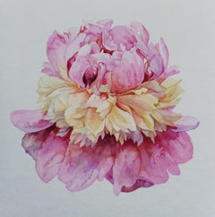Delicate and elegant