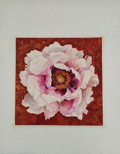Peony on a dark background