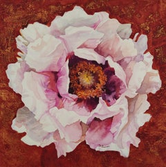 Peony on a dark background