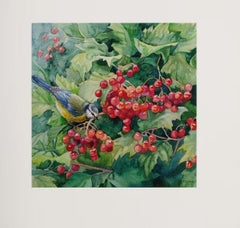 Red clusters of viburnum