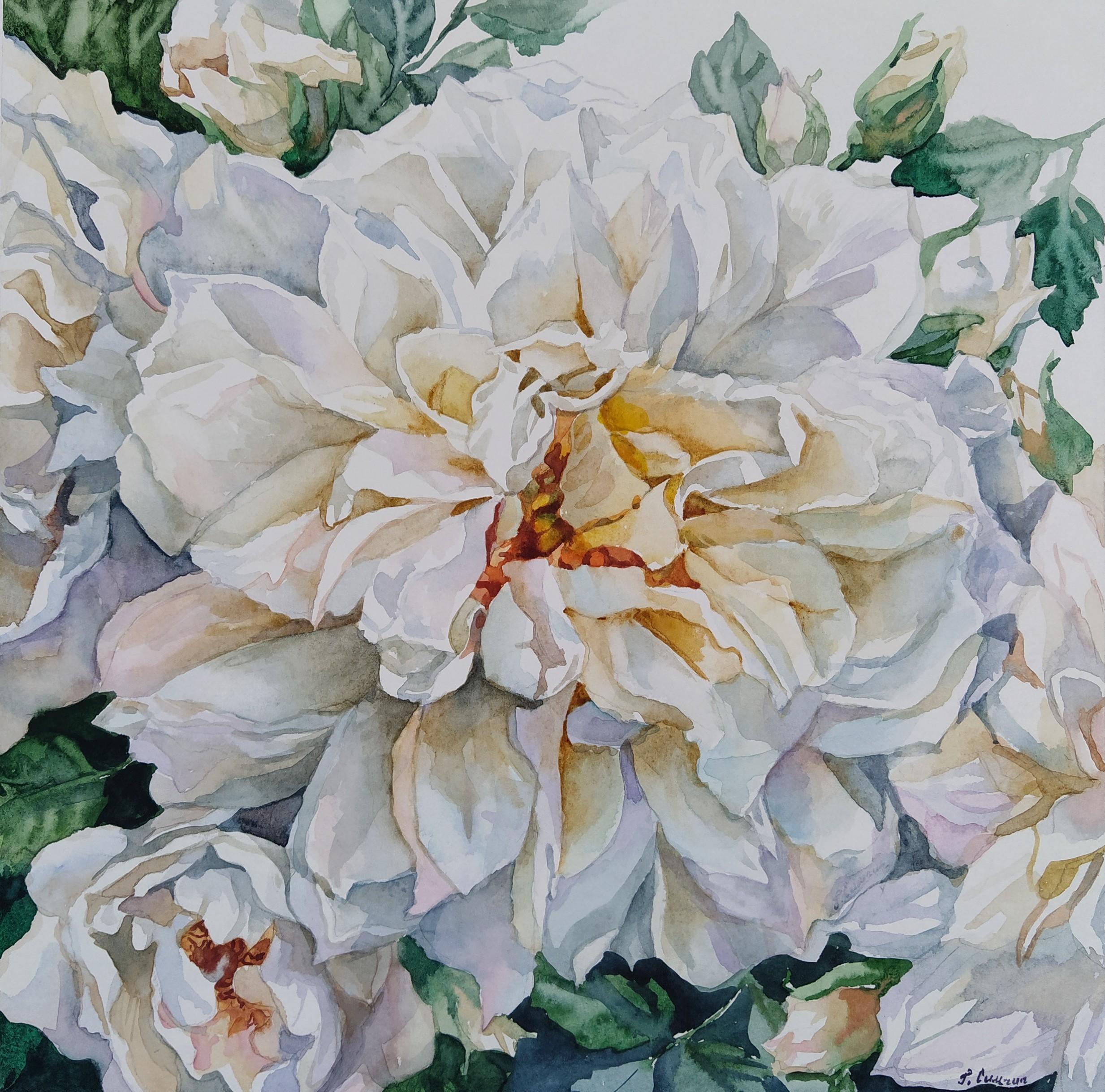 Roses