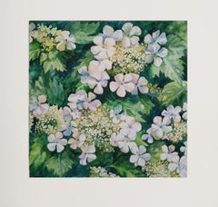 Viburnum blooms outside the window