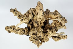 Gamal Wood Sculpture on Black Iron Leg