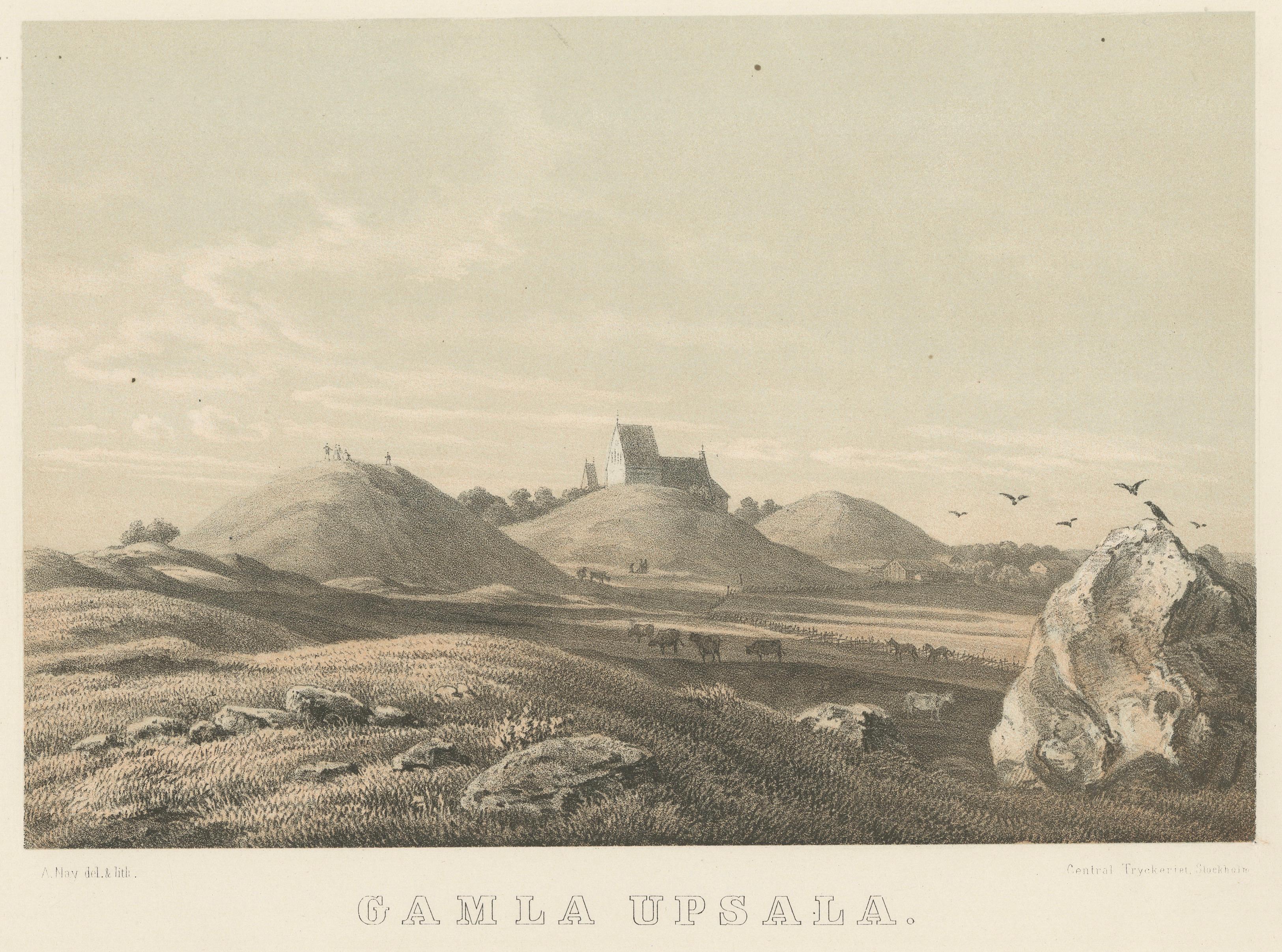 Gamla Uppsala Burial Mounds Landscape View, Swedish Tinted Lithograph, 1877