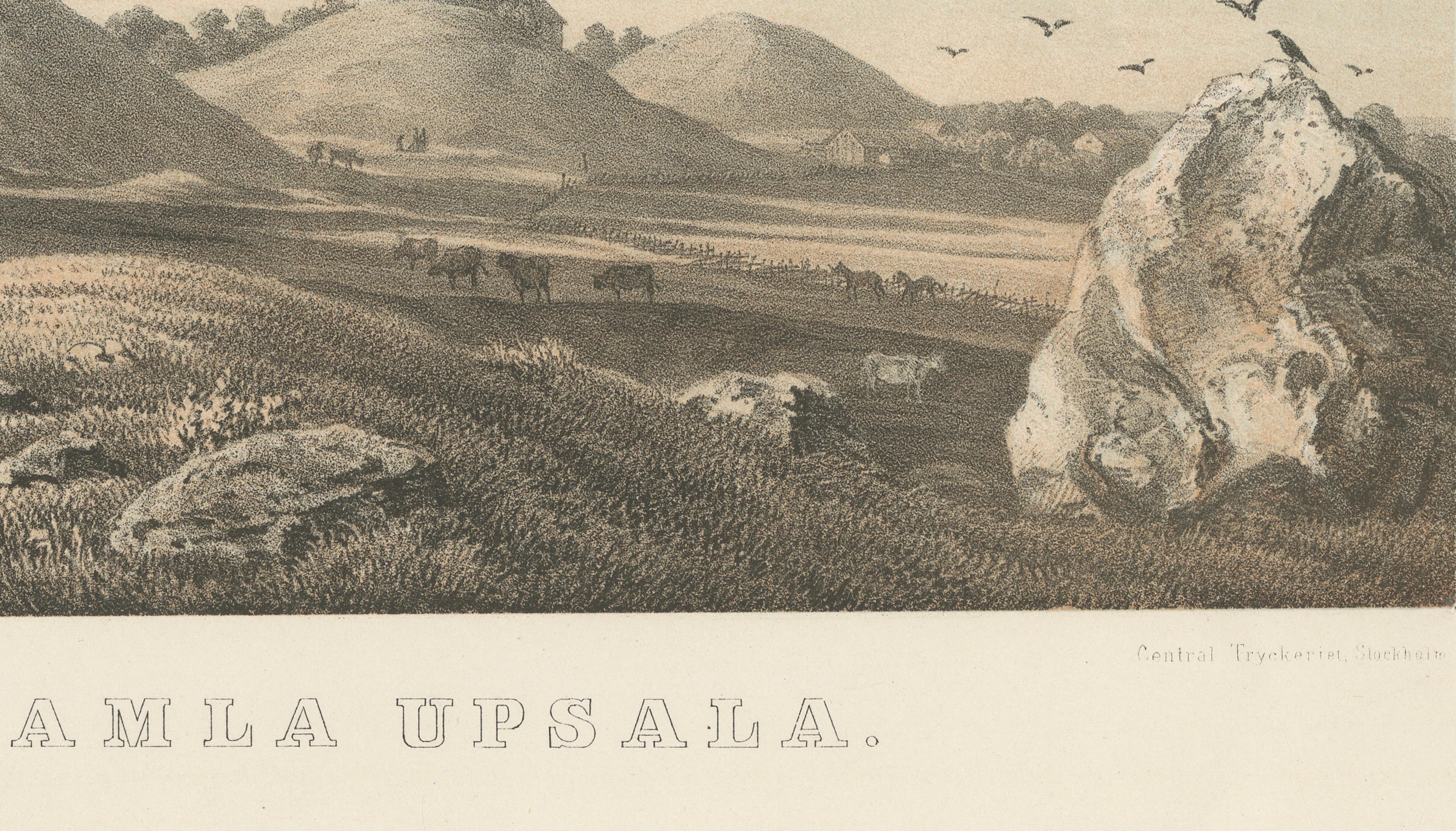 Gamla Uppsala Burial Mounds Landscape View, Swedish Tinted Lithograph, 1877