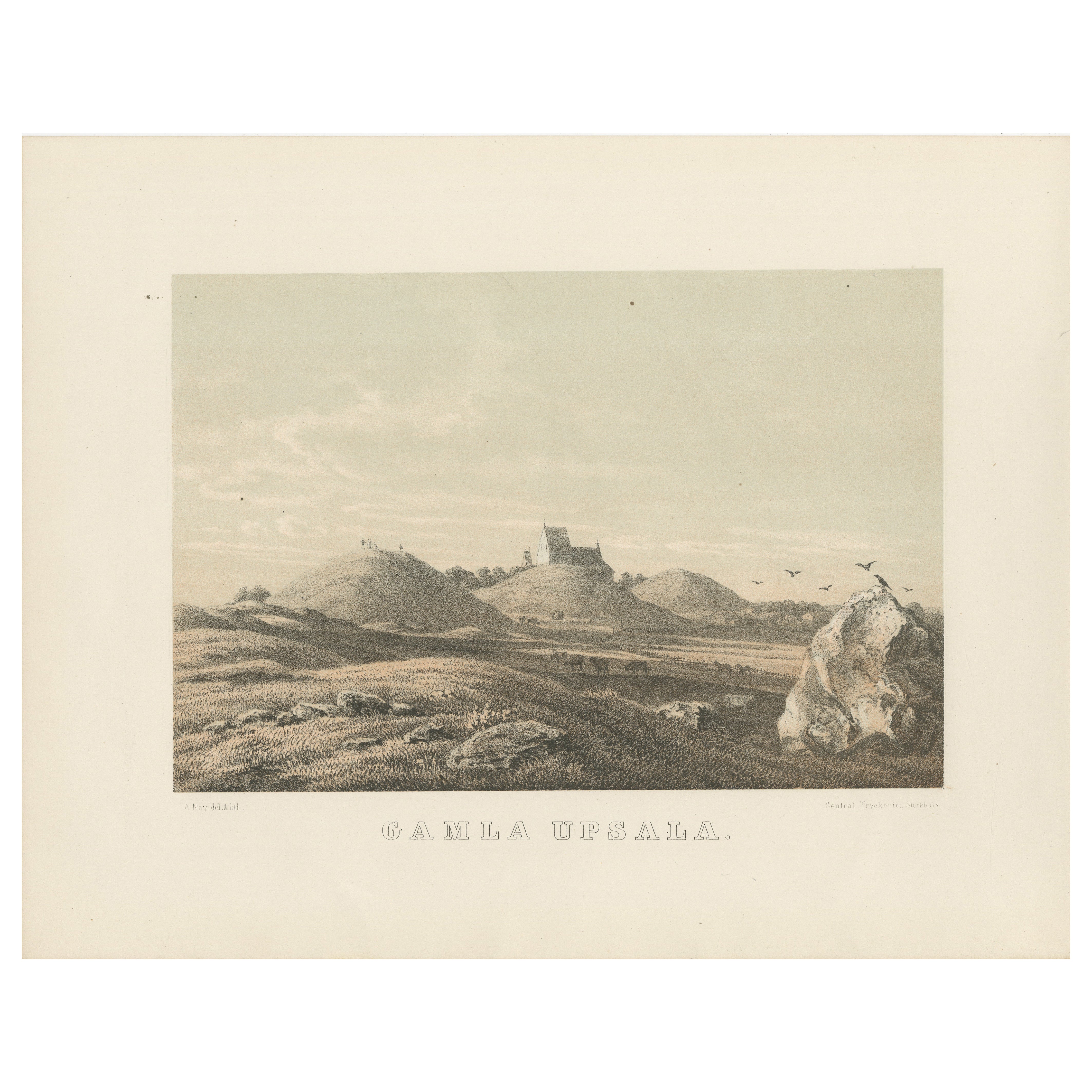 Gamla Uppsala Burial Mounds Landscape View, Swedish Tinted Lithograph, 1877