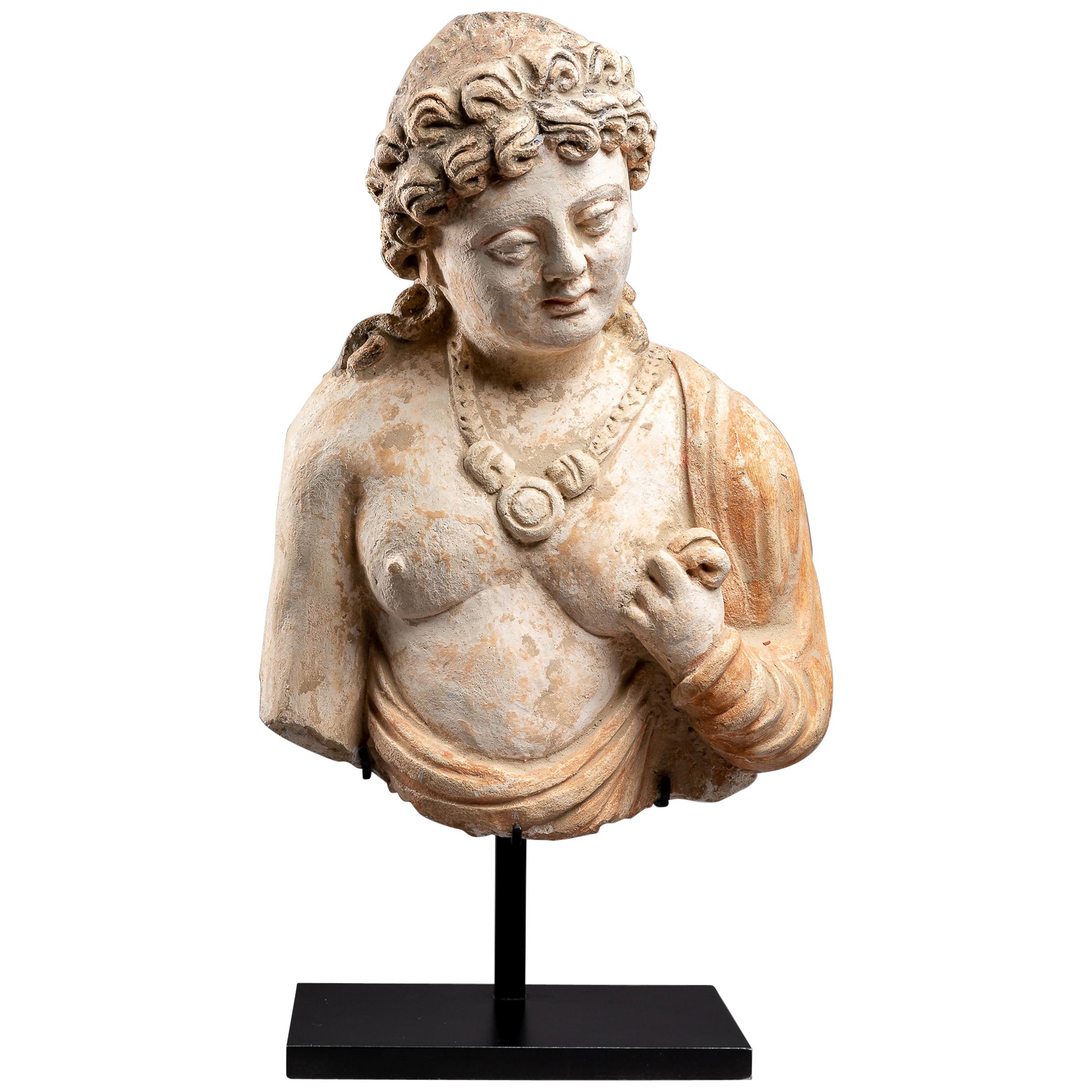 Gandhara Bust, a Bodhisattva or a Minor Divinity For Sale