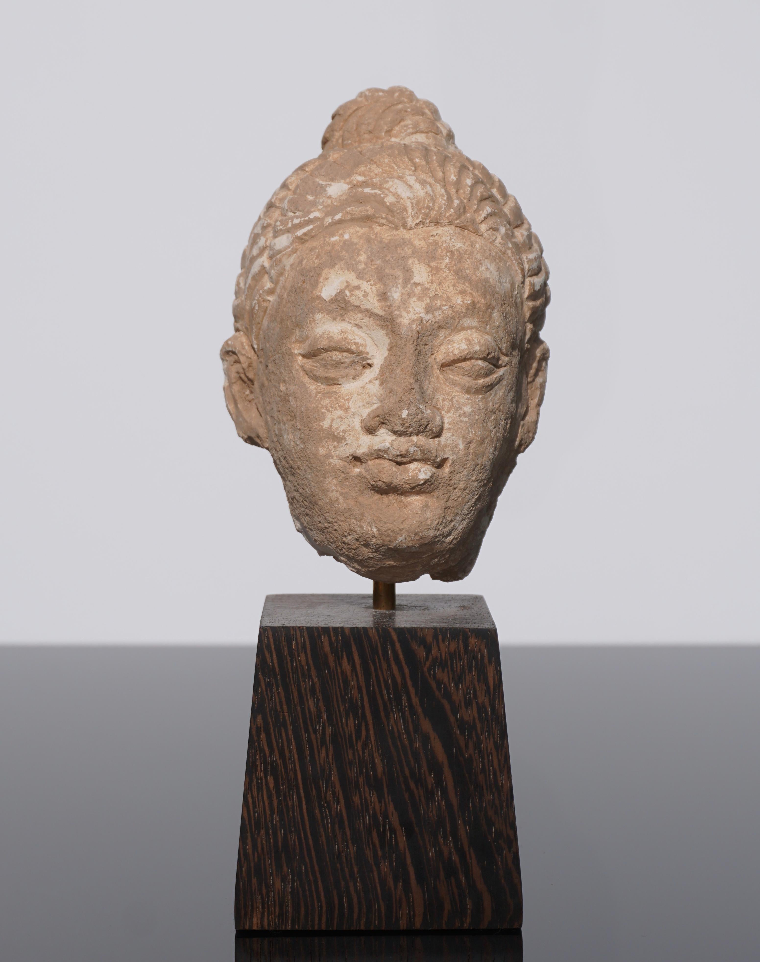 A stucco Buddha Heas from Gandhara 9100-400 AD)
On wood stand: 9 inches high x 3.5 wide x 4.5 deep

The sculpting of this Buddha head is particularly fine with original painted pigments. The topknot, the Gandharan version of the ushnisha,