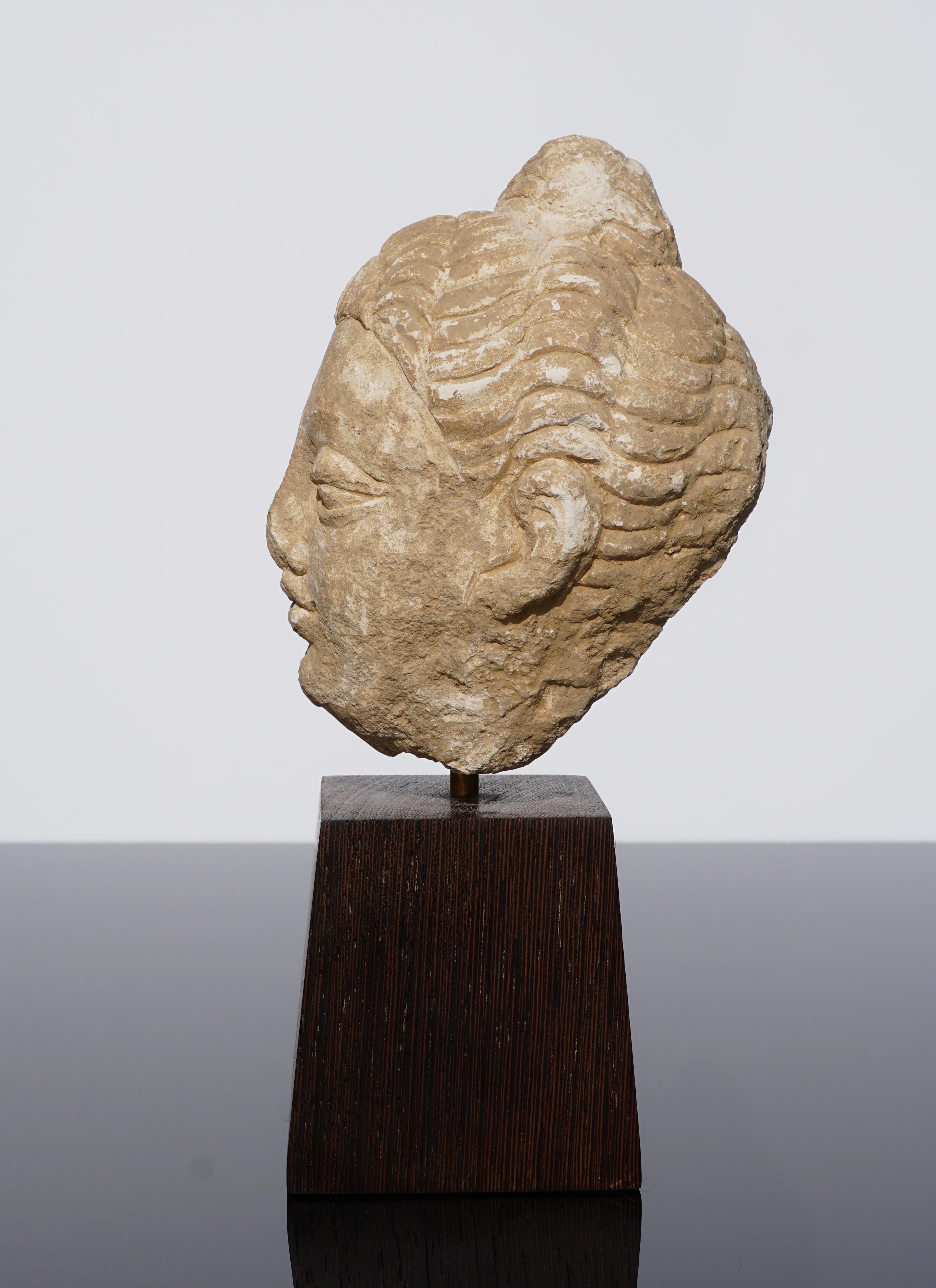 Pakistani Gandhara Stucco Buddha Head '100 to 400 AD'