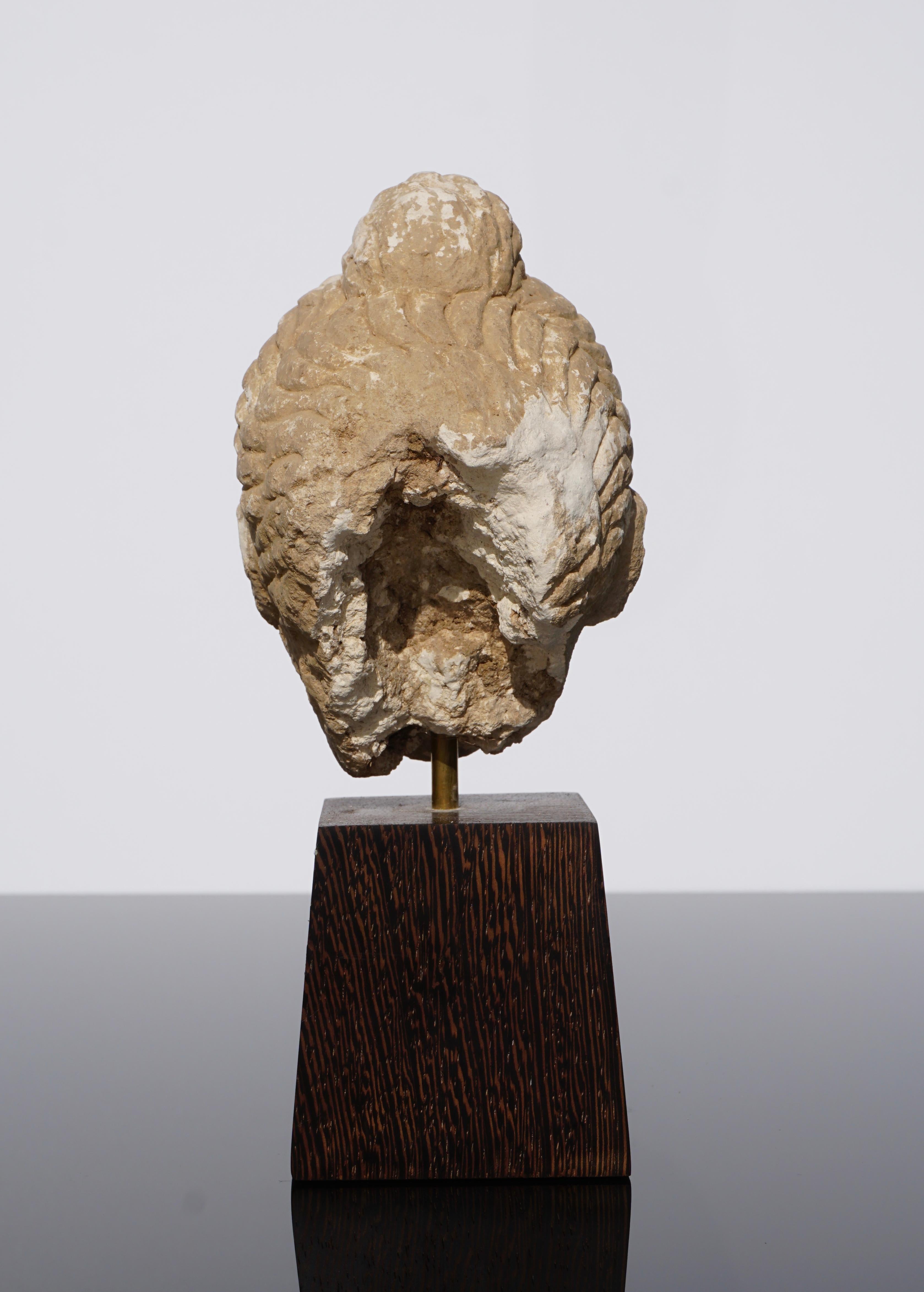 Gandhara Stucco Buddha Head '100 to 400 AD' In Good Condition In Dallas, TX