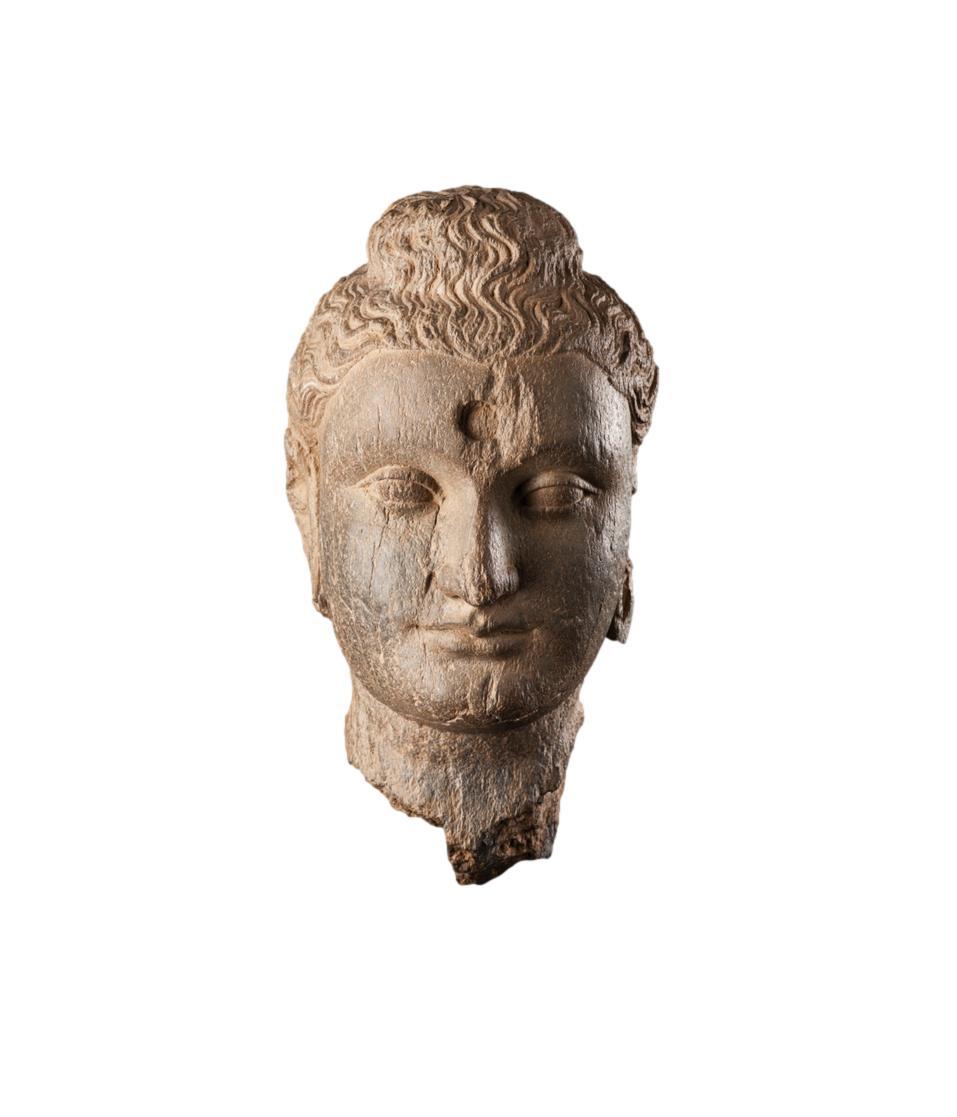 Gandharan Head of Buddha Grey Schist, 3rd to 4th Century (Pakistanisch) im Angebot