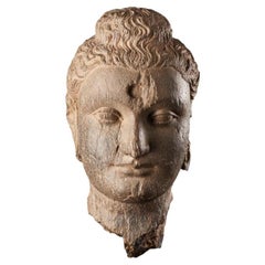 Gandharan Head of Buddha Grey Schist, 3rd to 4th Century