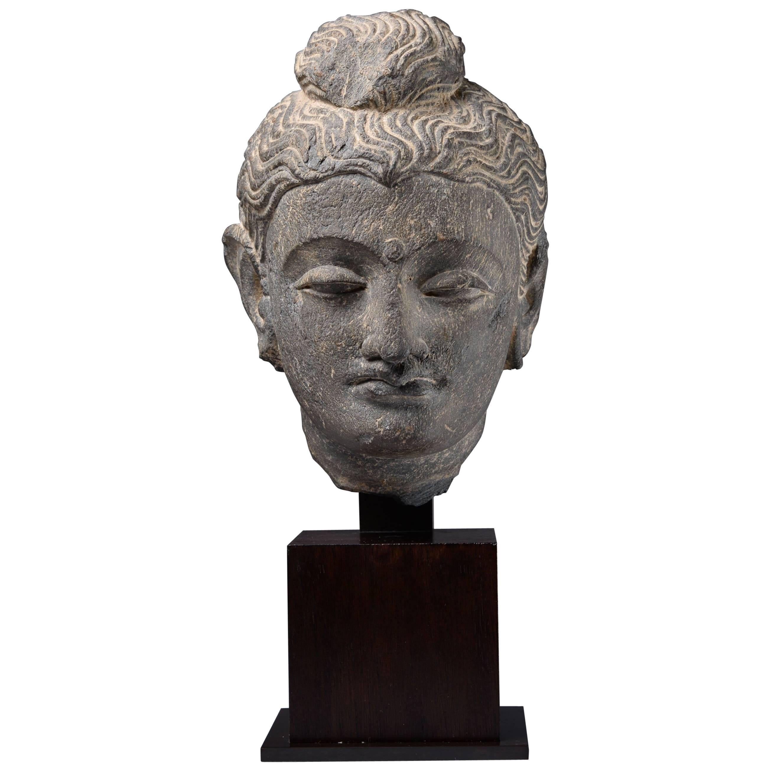 Ein fein geschnitzter und gut geprüfter Steinkopf des Buddha aus Gandhara, datiert auf das 3.

Gandhara, das Land der Kontraste, eingebettet in die schneebedeckten Gipfel und üppigen Täler des Hindukusch, war ein antiker Ort der Begegnung zwischen