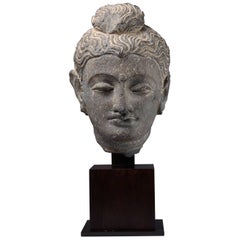 Gandharan Schist Head of Buddha, AD 250