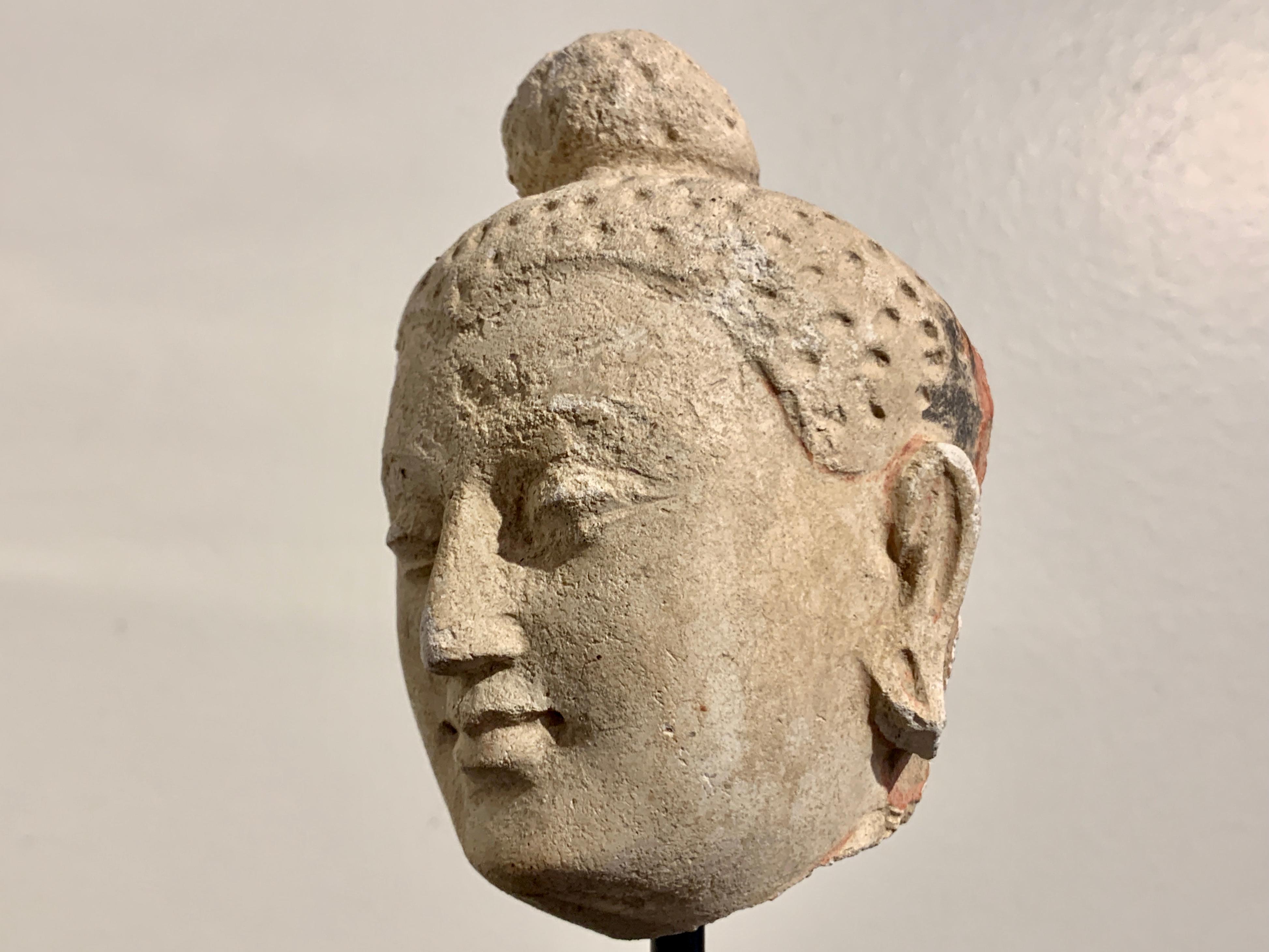 Gandharan Small Stucco Buddha Head, Style of Hadda, 5th-6th Century For Sale 1
