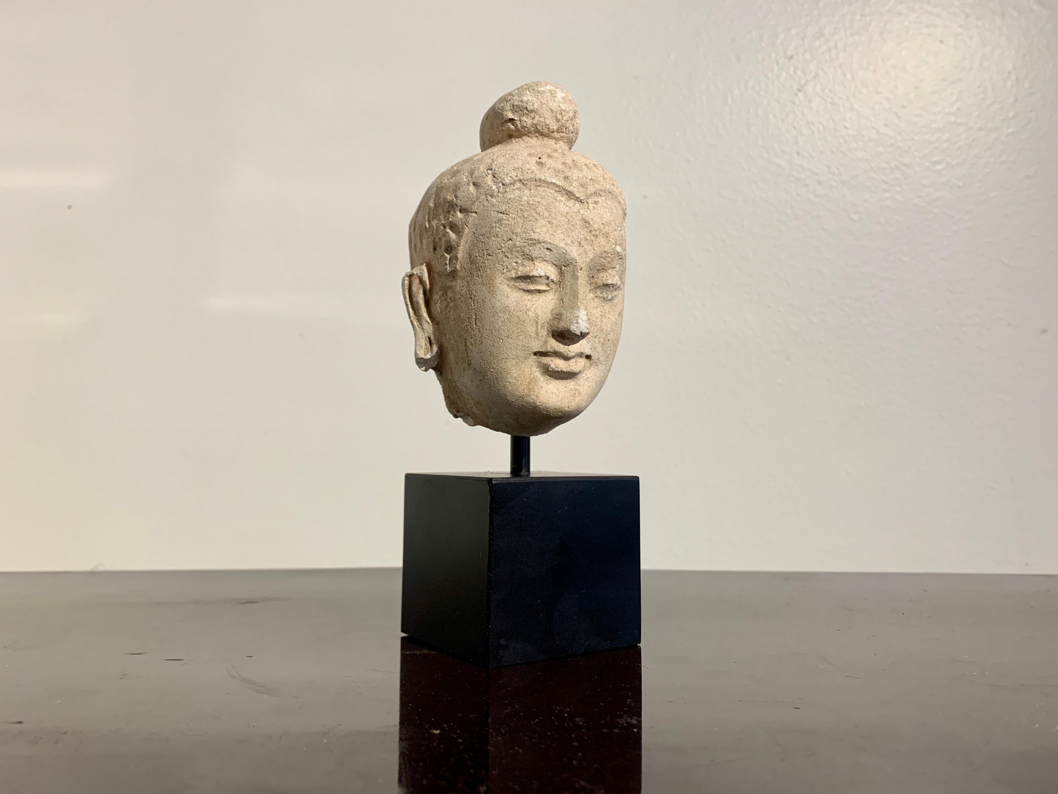 gandhara buddha head