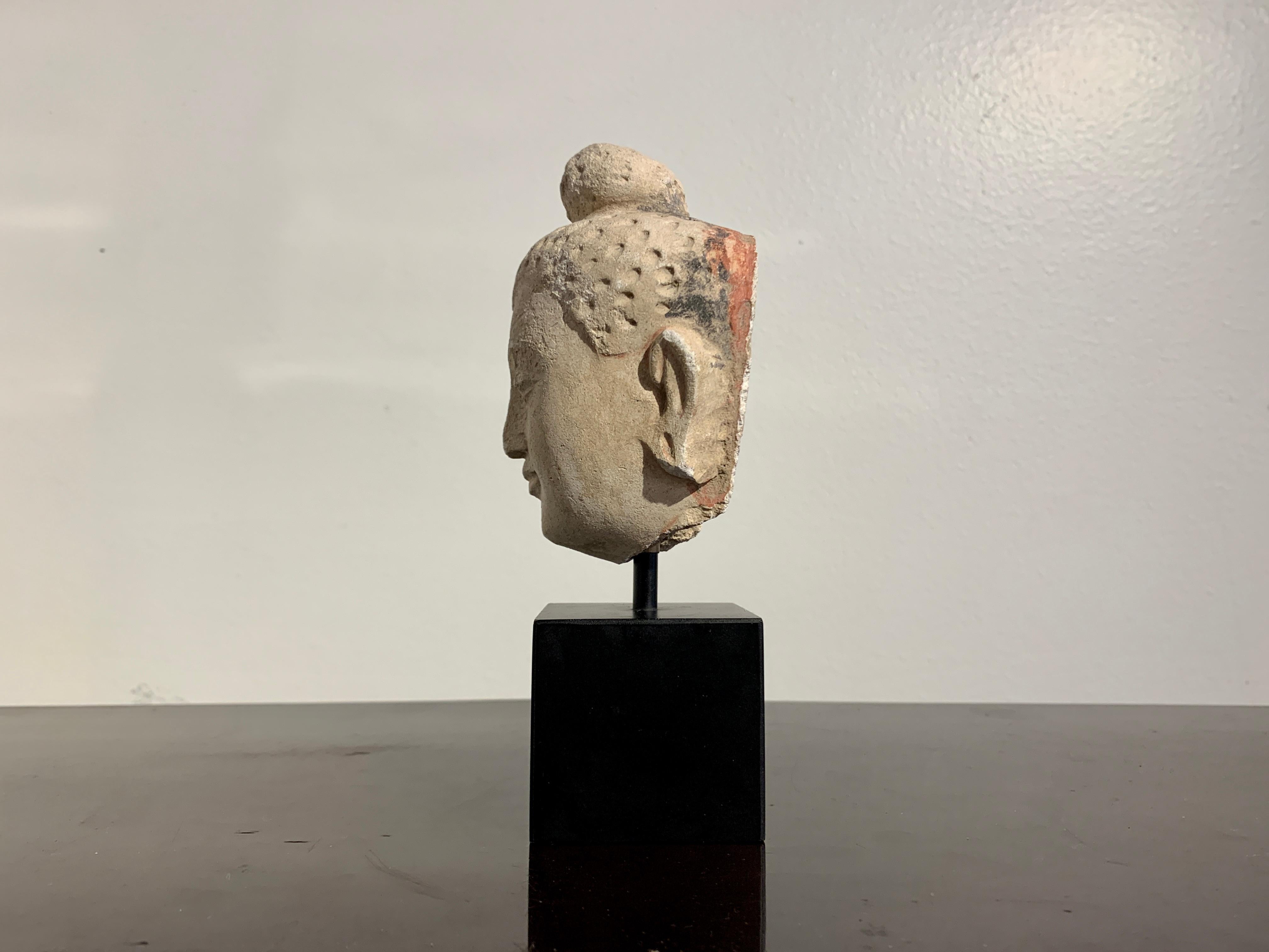Afghan Gandharan Small Stucco Buddha Head, Style of Hadda, 5th-6th Century For Sale