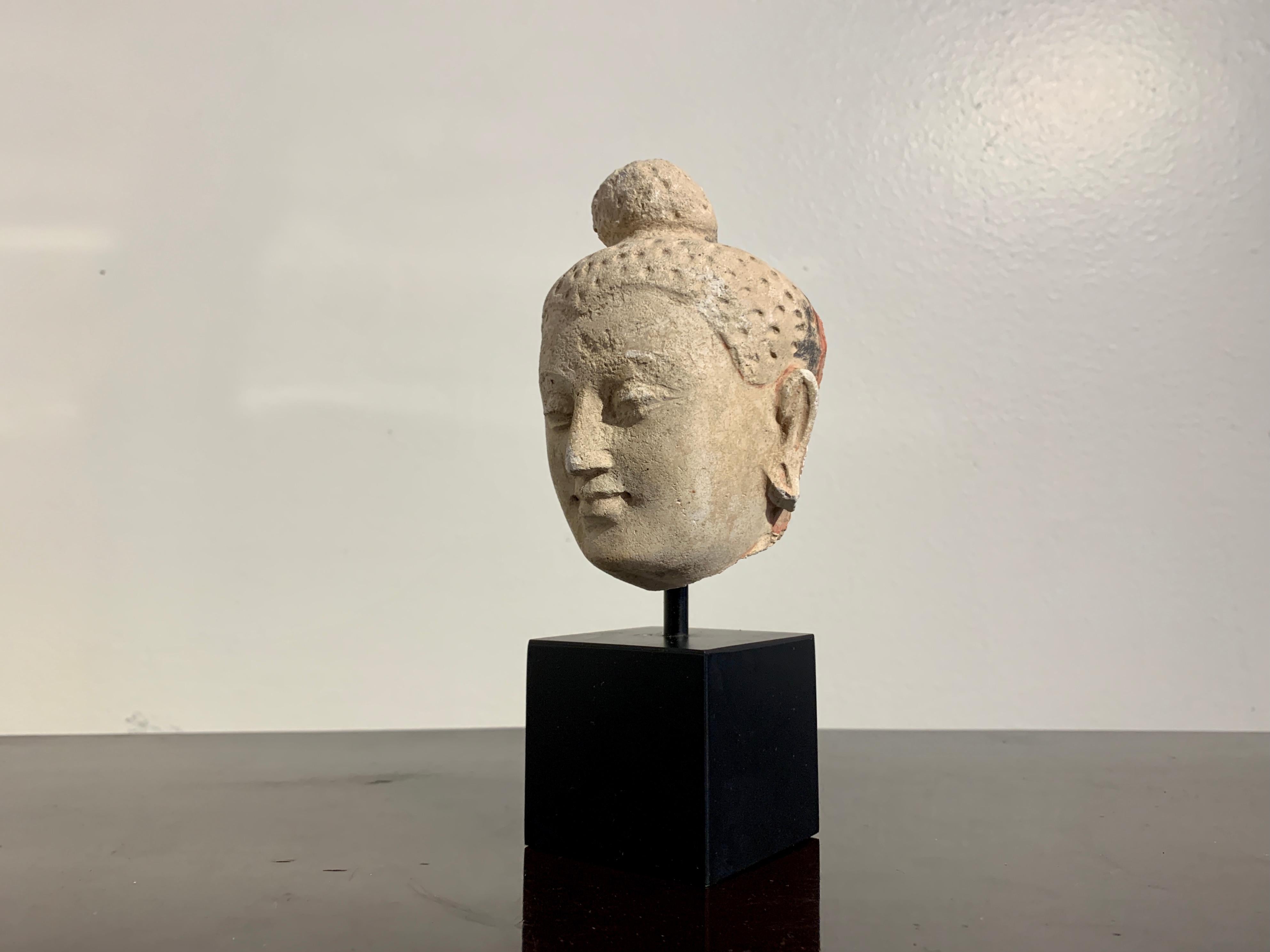 Molded Gandharan Small Stucco Buddha Head, Style of Hadda, 5th-6th Century For Sale