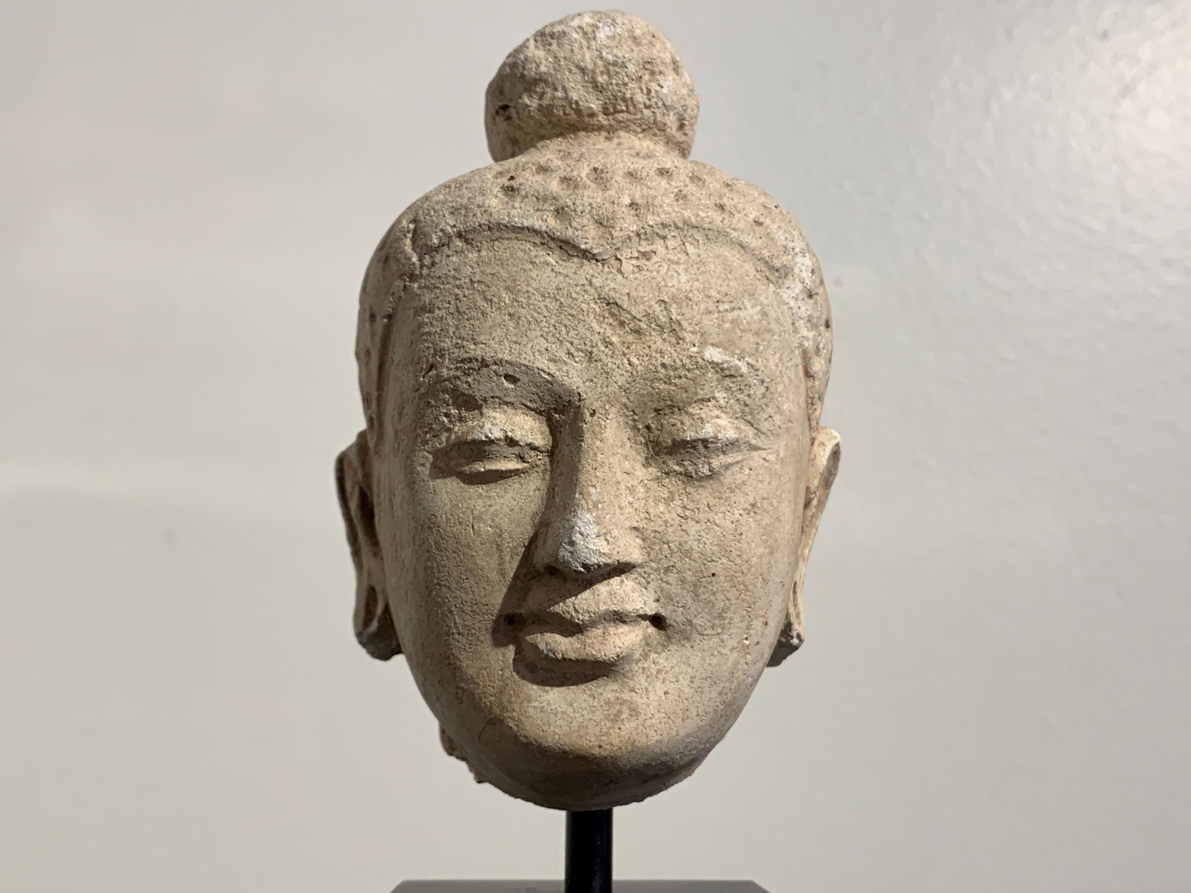 Gandharan Small Stucco Buddha Head, Style of Hadda, 5th-6th Century In Good Condition For Sale In Austin, TX